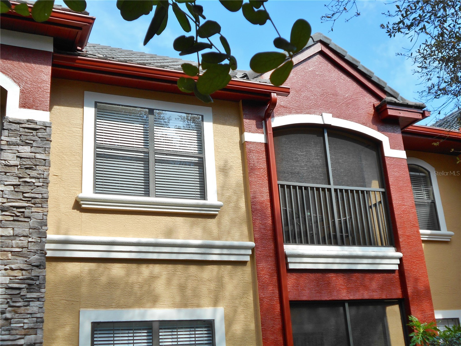 2171 Portofino Place #2727 Palm Harbor FL 34683 TB8474819 image10