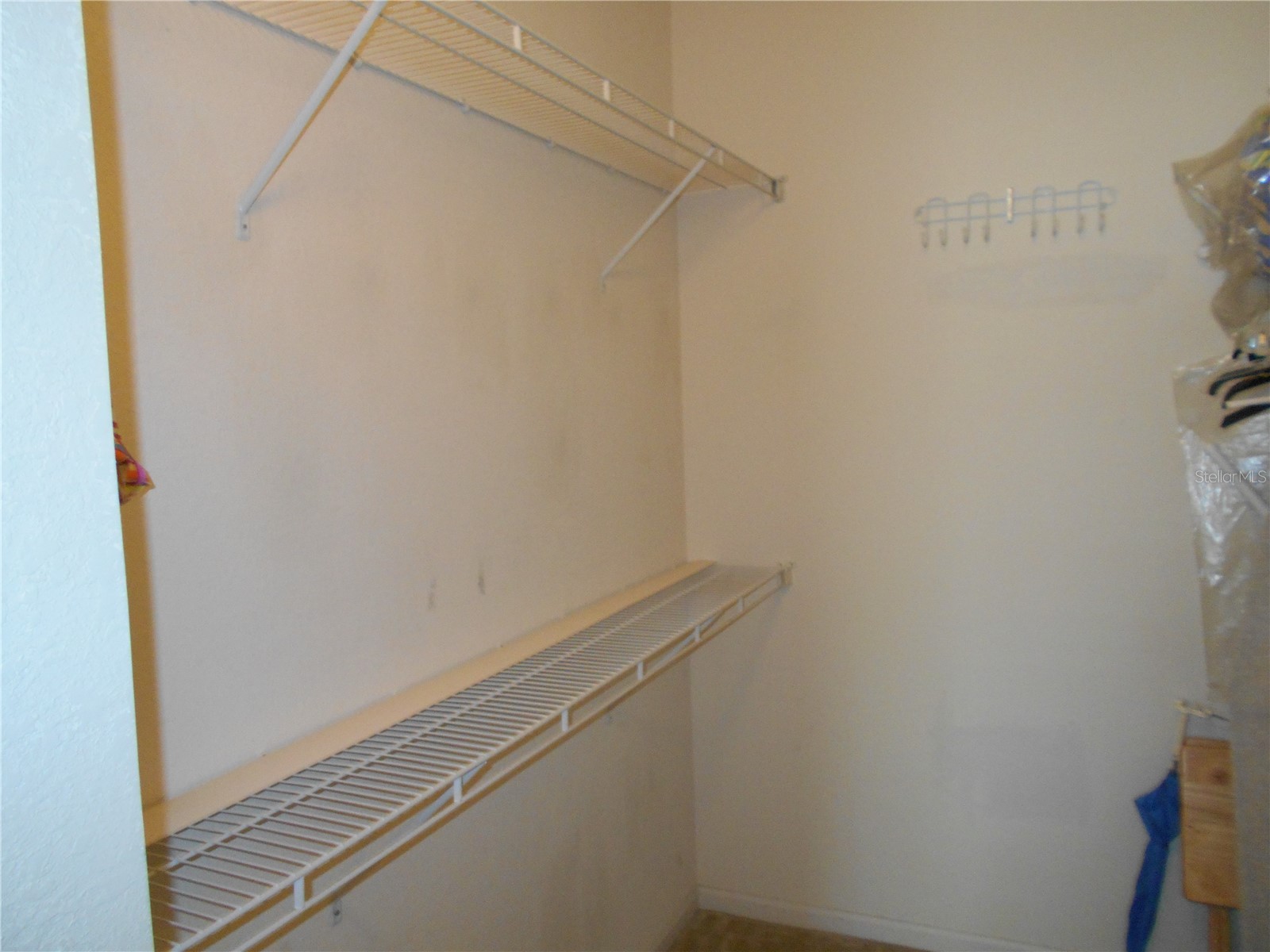 2171 Portofino Place #2727 Palm Harbor FL 34683 TB8474819 image18