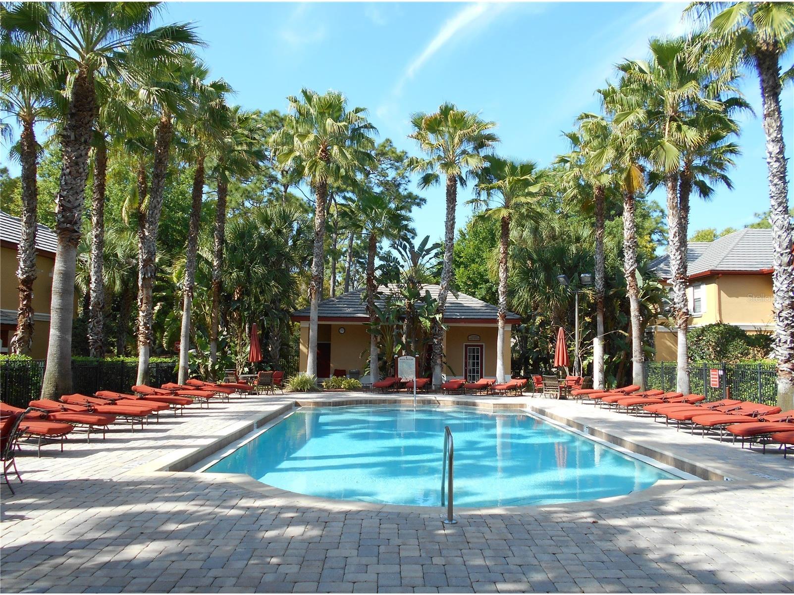 2171 Portofino Place #2727 Palm Harbor FL 34683 TB8474819 image27