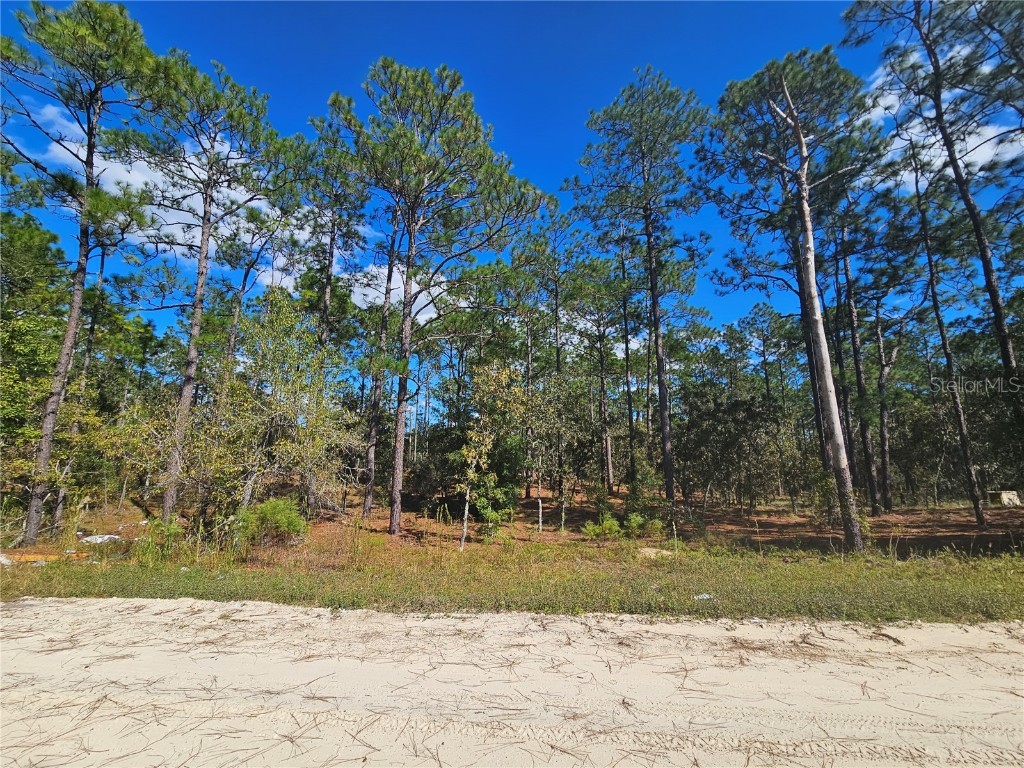 2171 SE 148th Court Morriston FL 32668 OM711206 image1