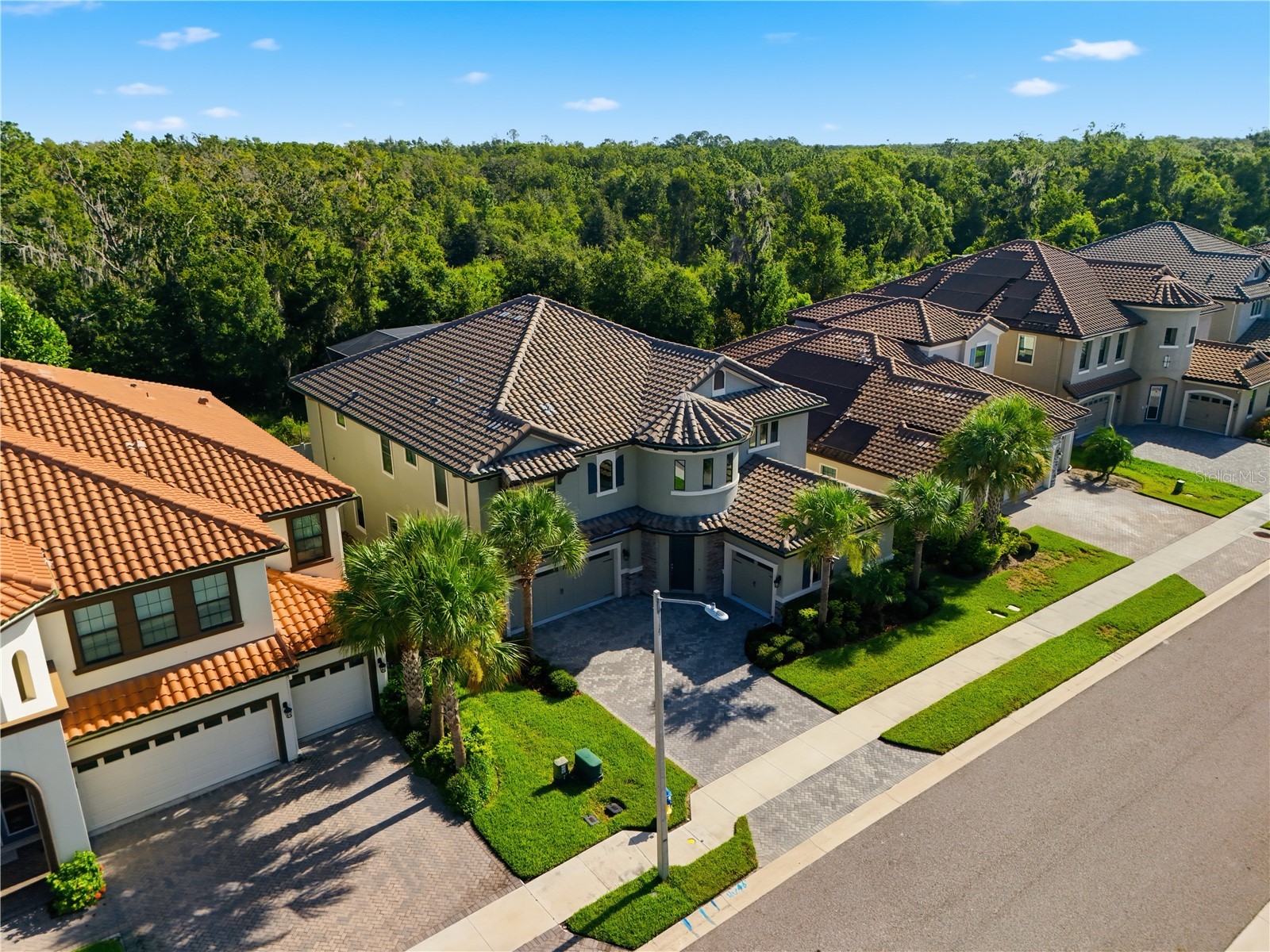 21711 Amelia Rose Way Land O Lakes FL 34637 TB8531989 image4
