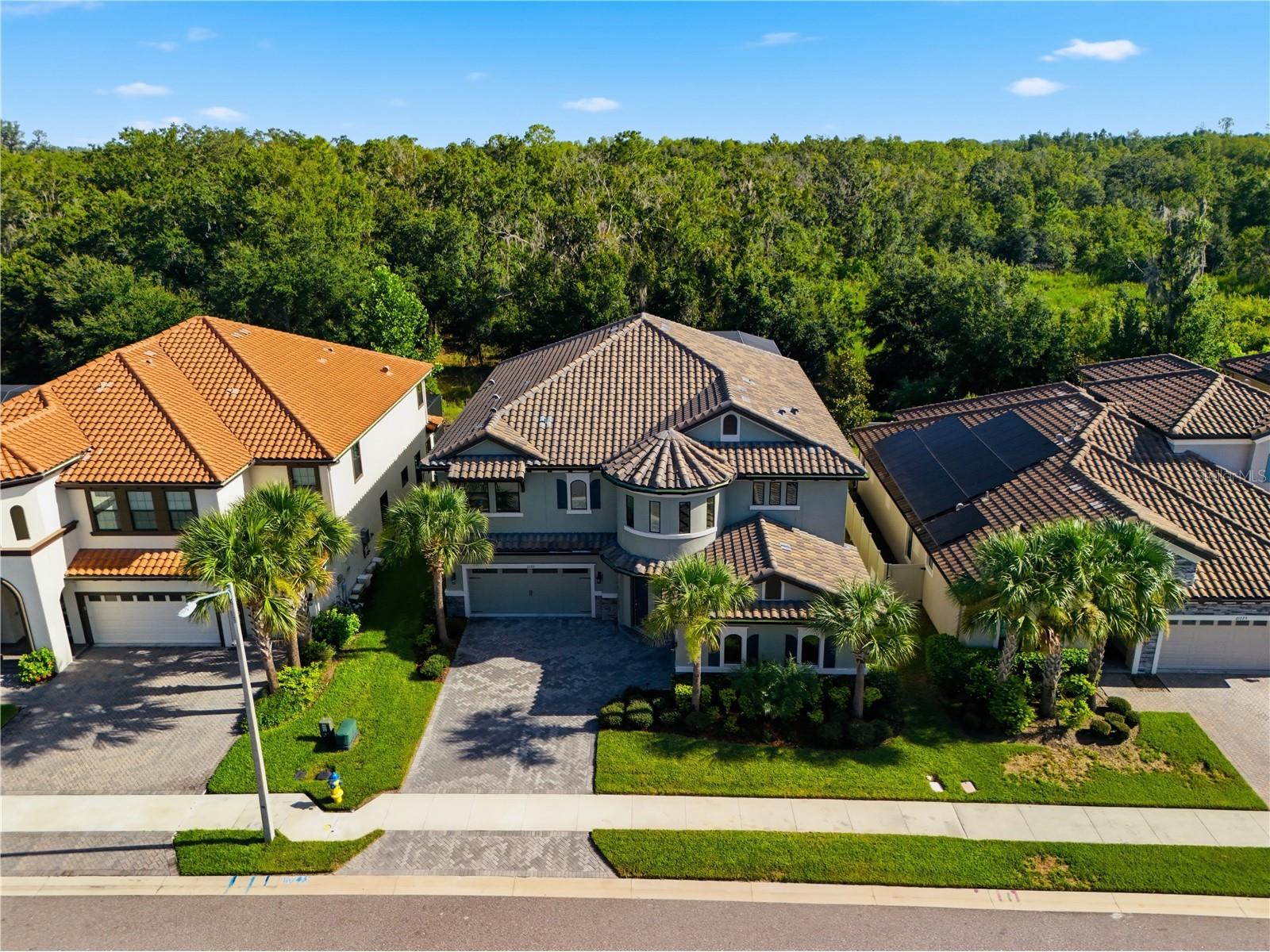 21711 Amelia Rose Way Land O Lakes FL 34637 TB8531989 image5