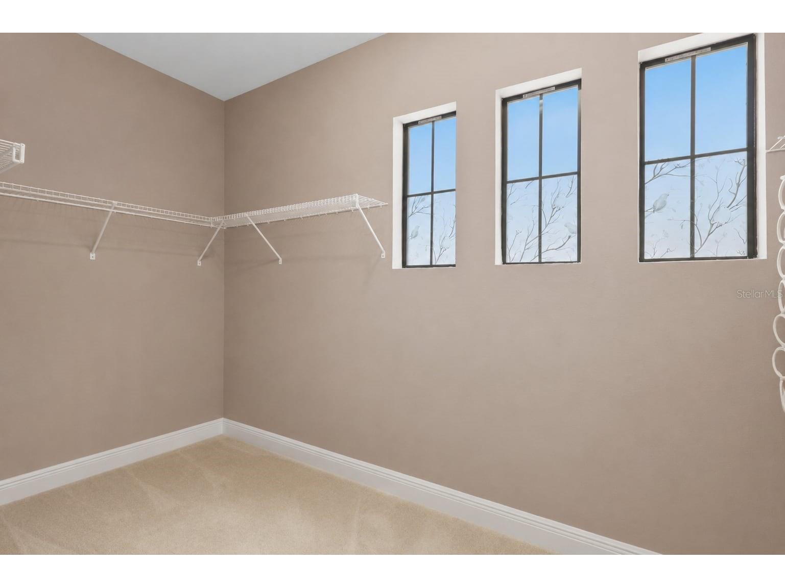 21711 Amelia Rose Way Land O Lakes FL 34637 TB8531989 image52