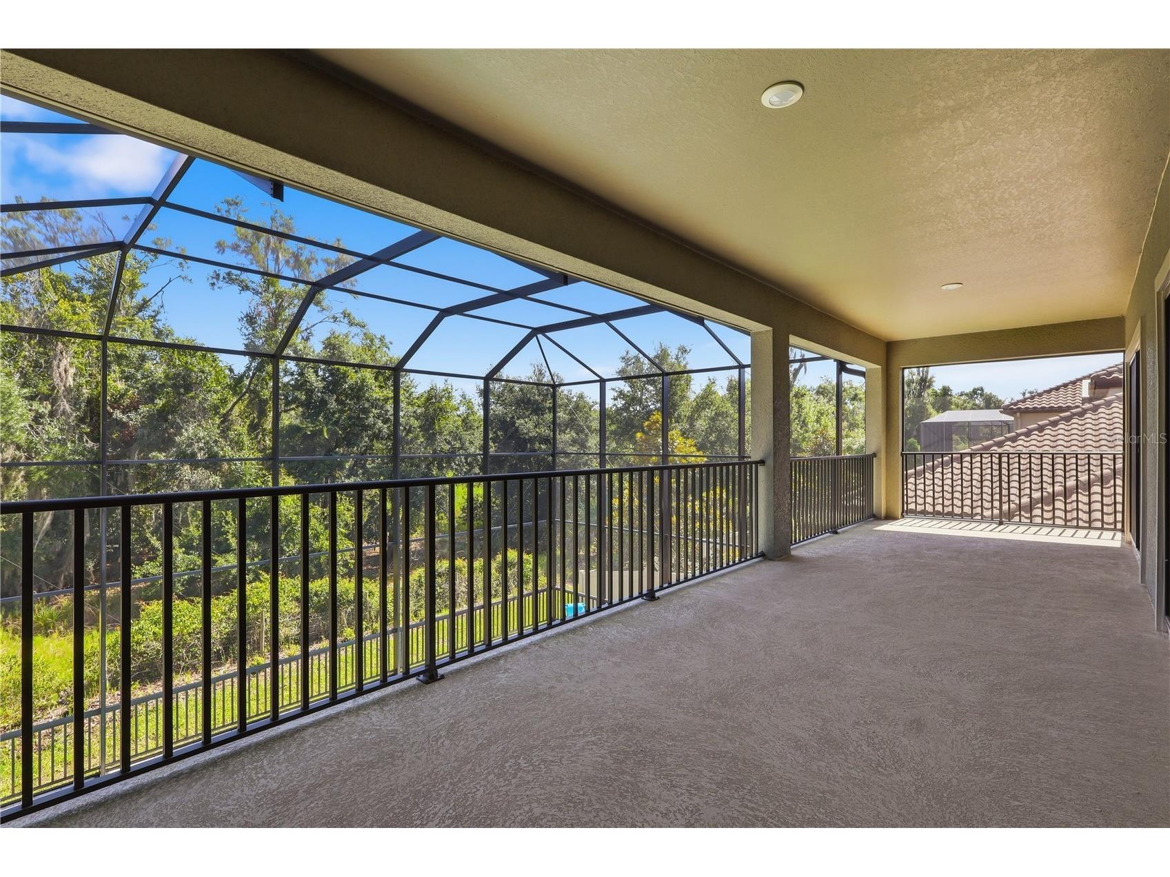 21711 Amelia Rose Way Land O Lakes FL 34637 TB8531989 image55