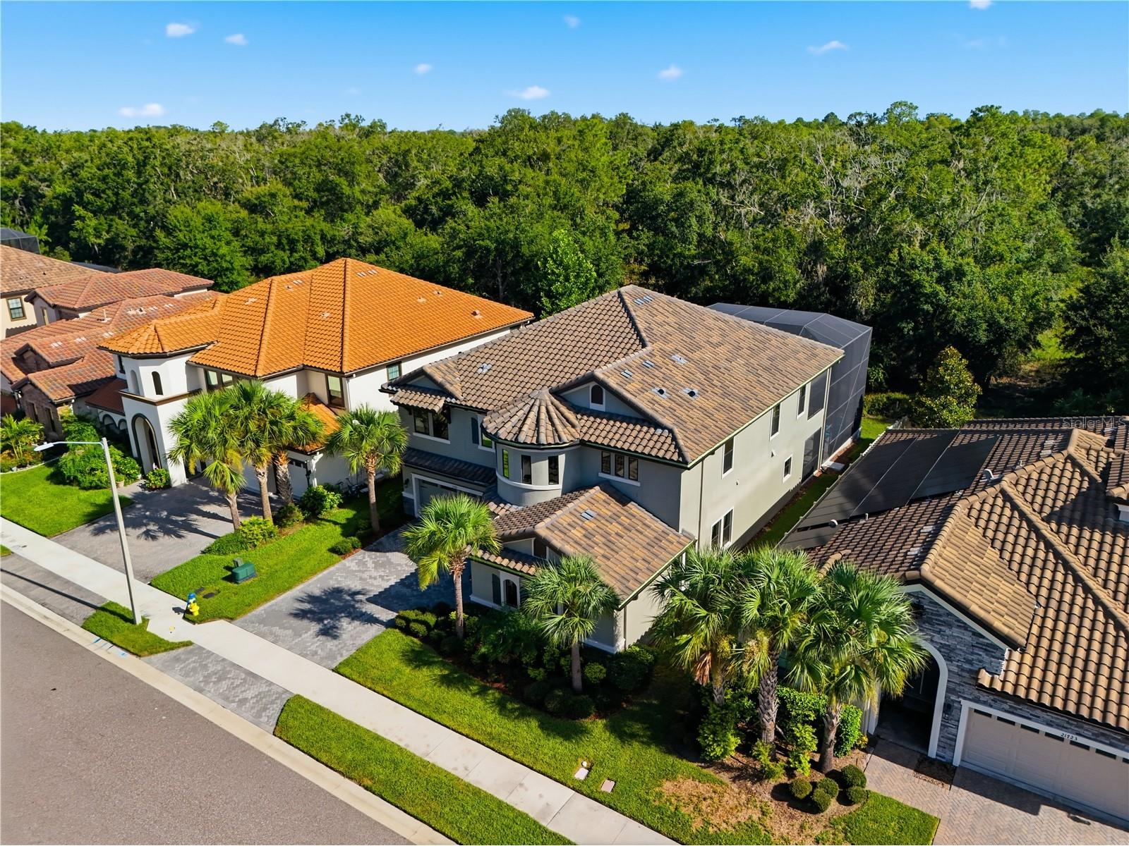 21711 Amelia Rose Way Land O Lakes FL 34637 TB8531989 image6