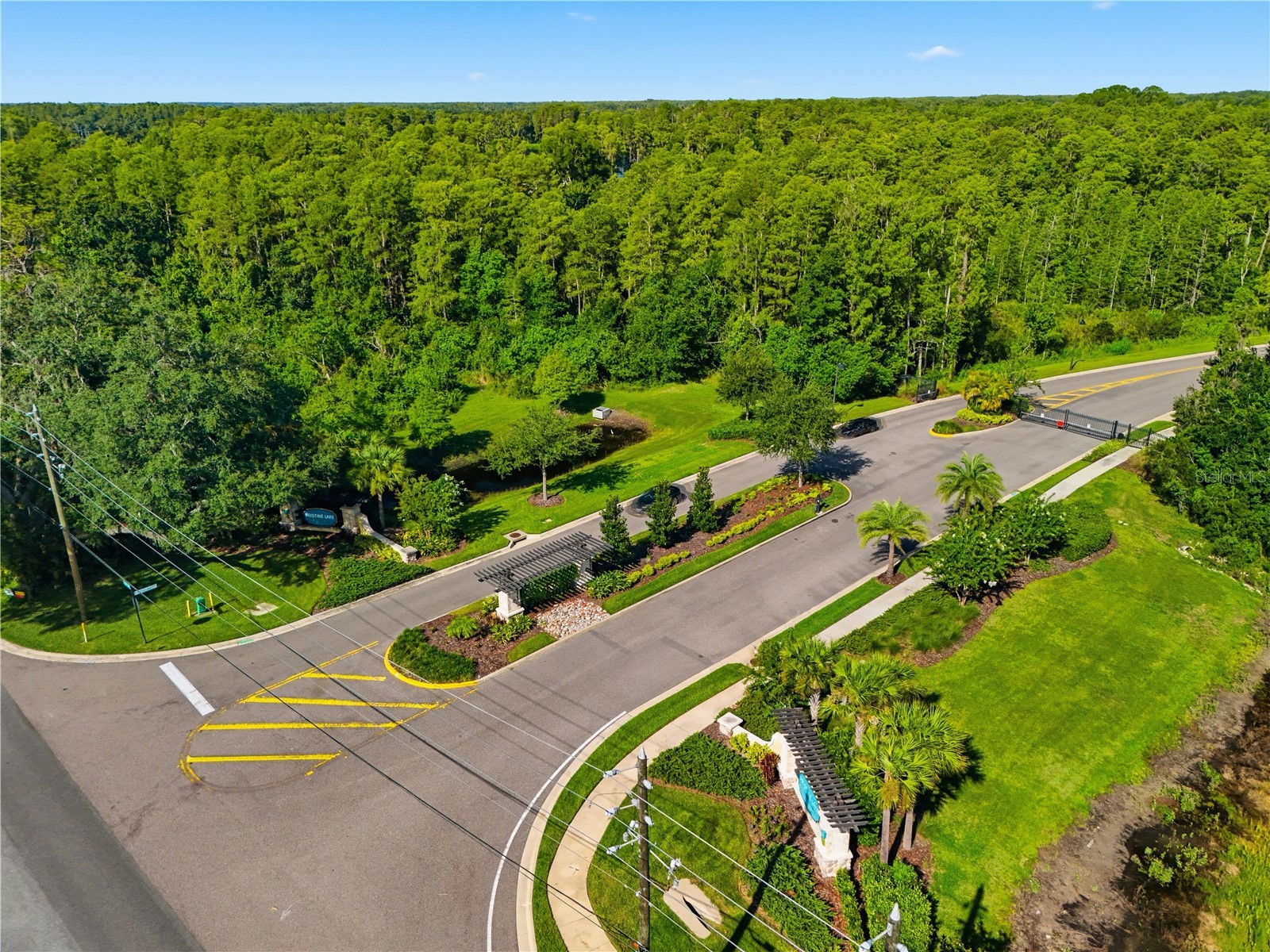 21711 Amelia Rose Way Land O Lakes FL 34637 TB8531989 image67