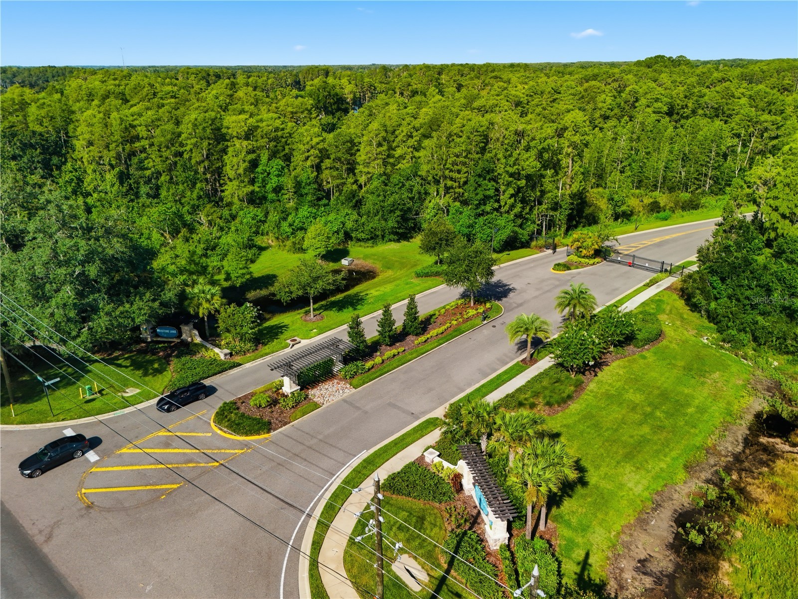 21711 Amelia Rose Way Land O Lakes FL 34637 TB8531989 image69