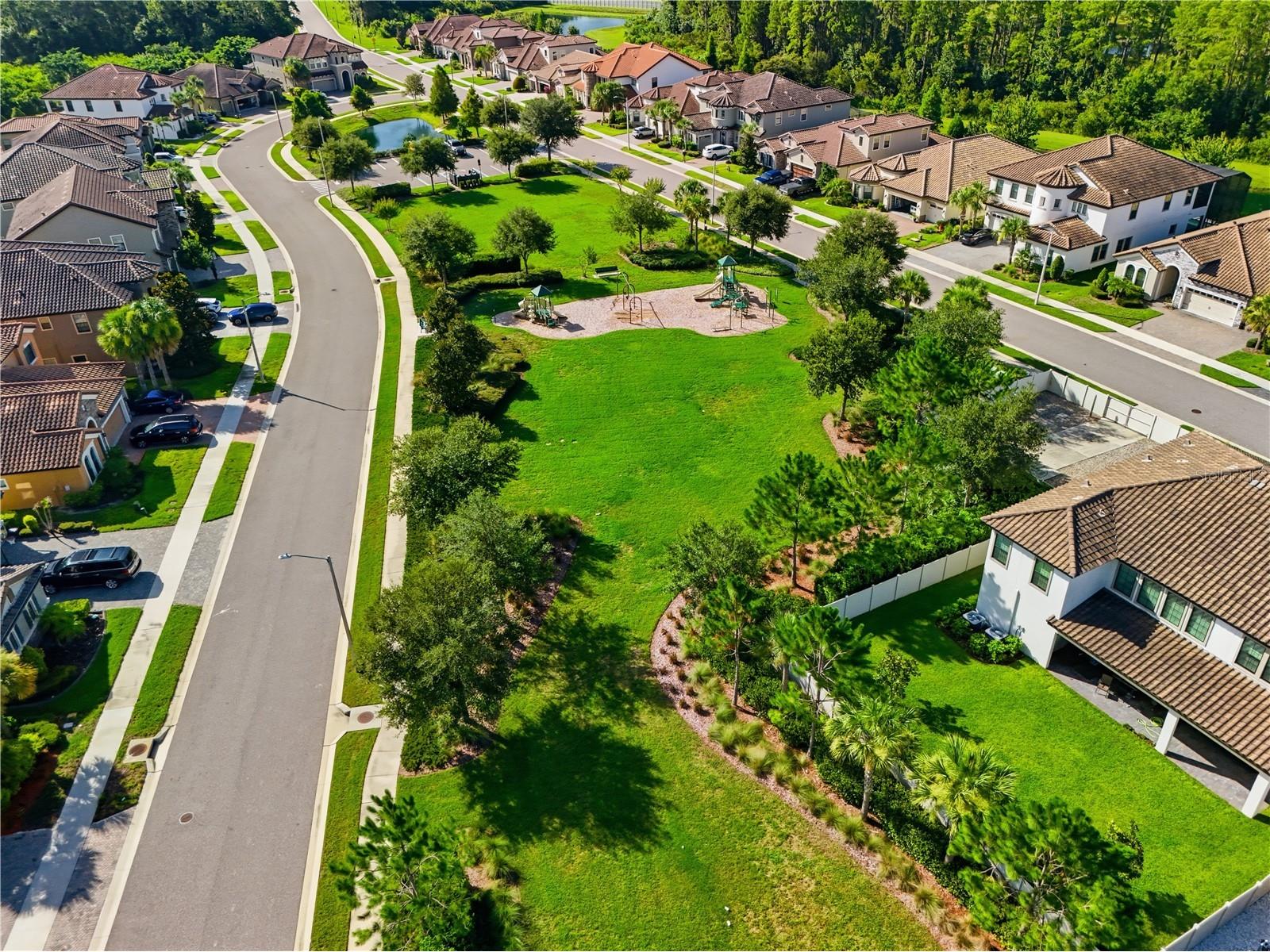21711 Amelia Rose Way Land O Lakes FL 34637 TB8531989 image70