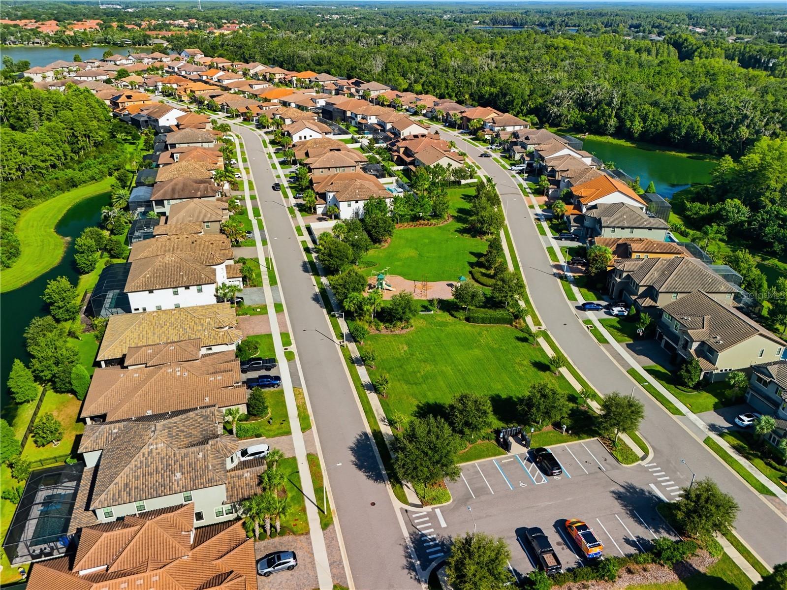 21711 Amelia Rose Way Land O Lakes FL 34637 TB8531989 image71