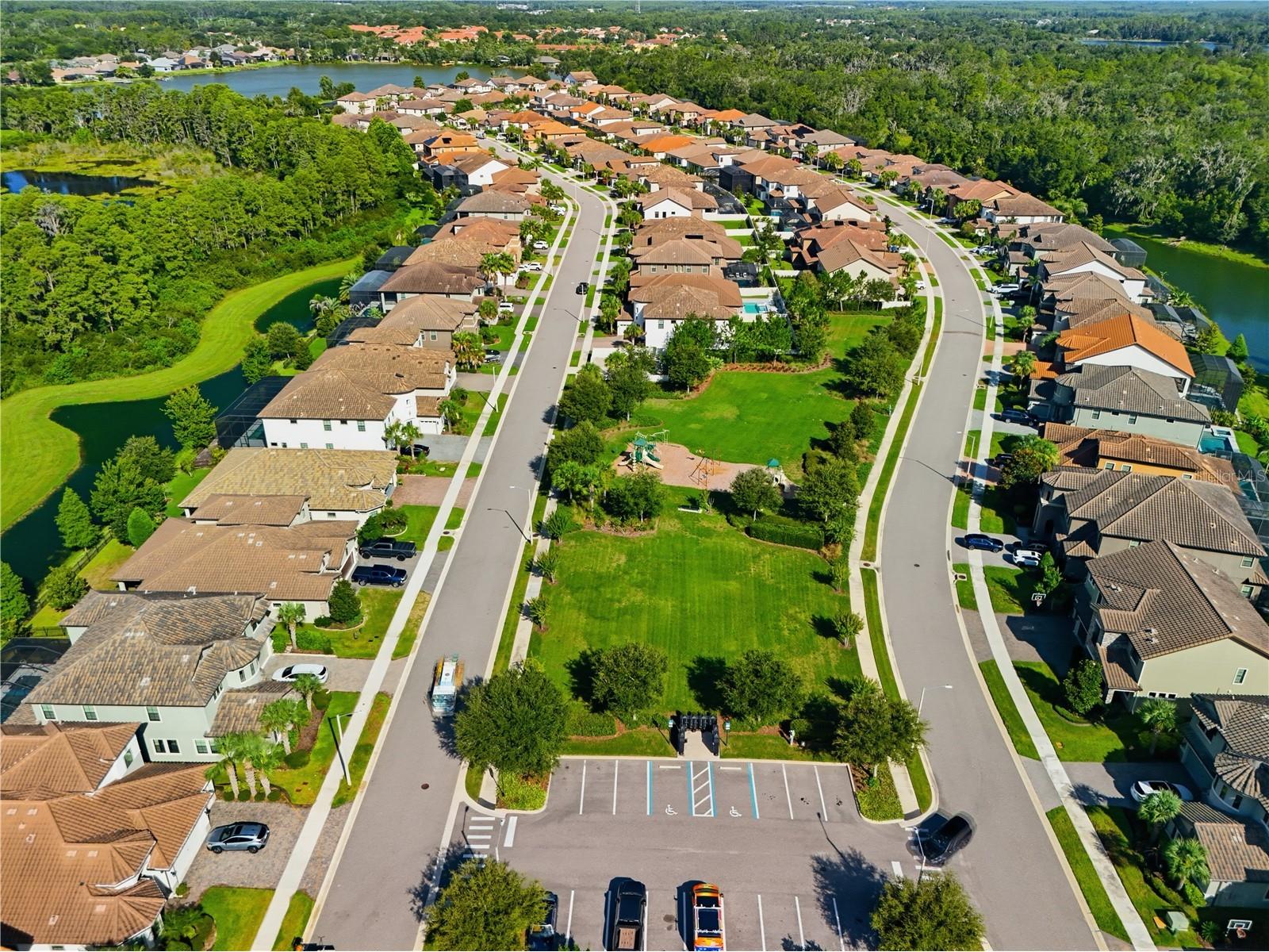 21711 Amelia Rose Way Land O Lakes FL 34637 TB8531989 image72