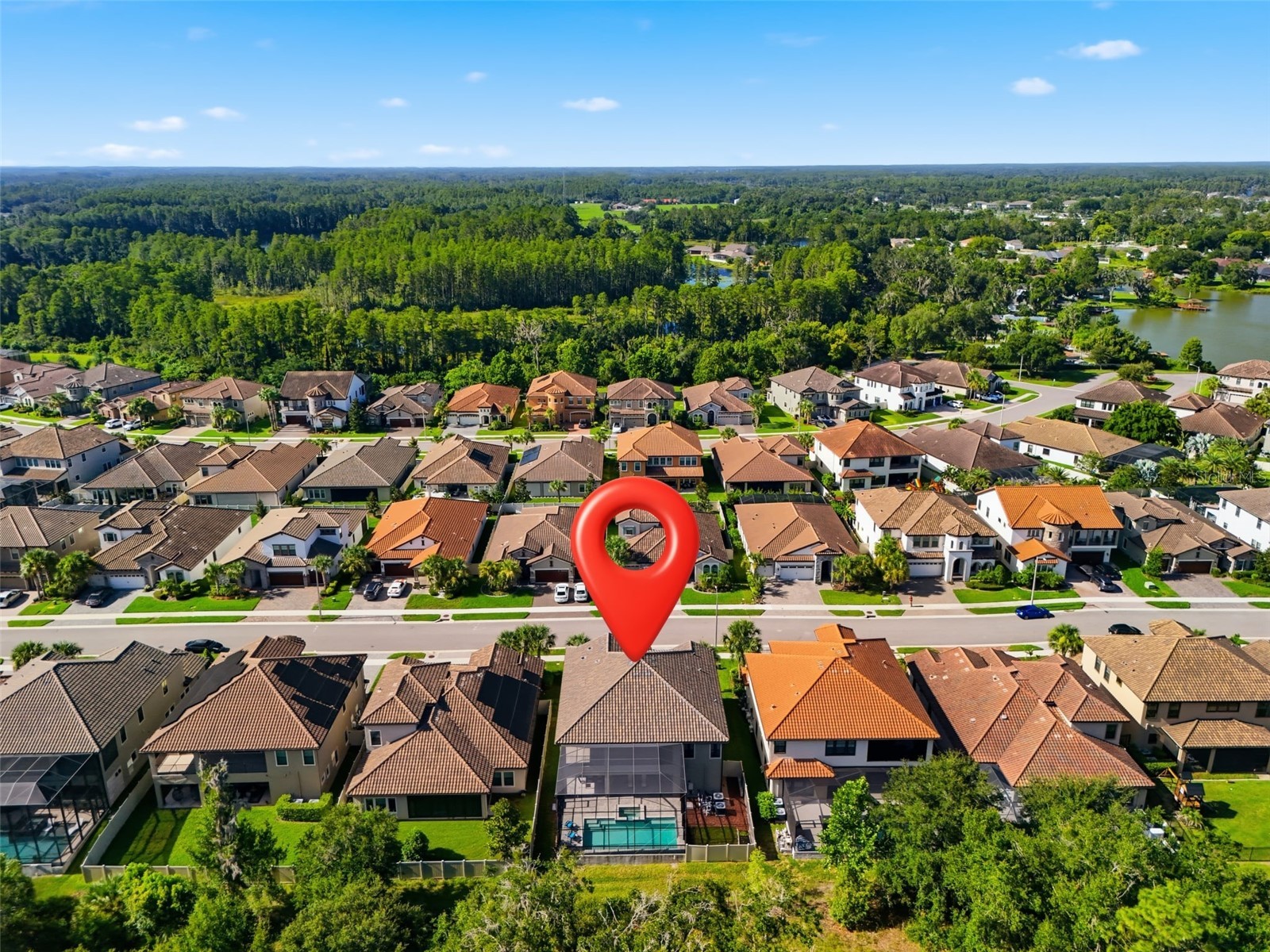 21711 Amelia Rose Way Land O Lakes FL 34637 TB8531989 image8