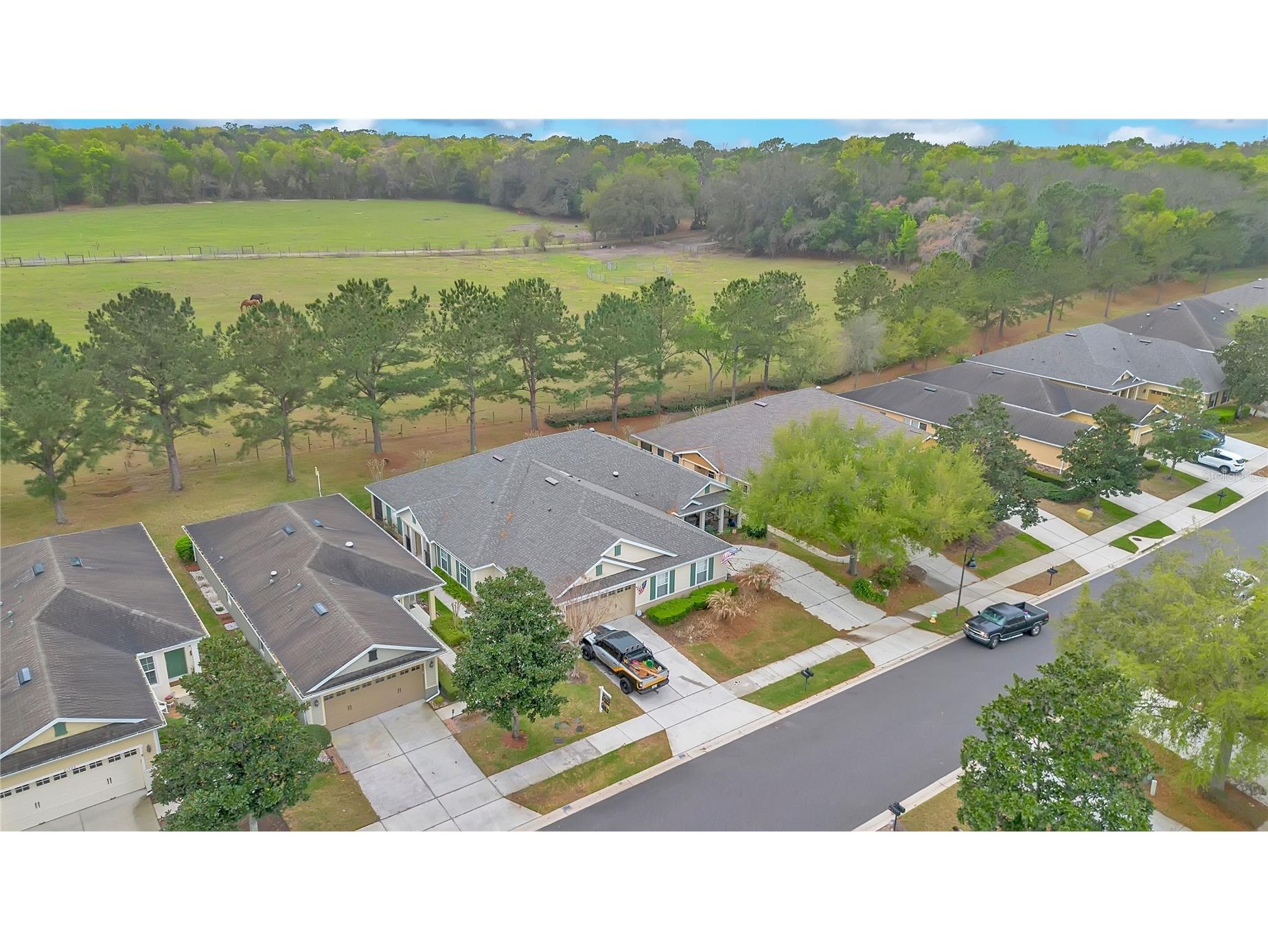 21714 Belgian Court Mount Dora FL 32757 O6394167 image27