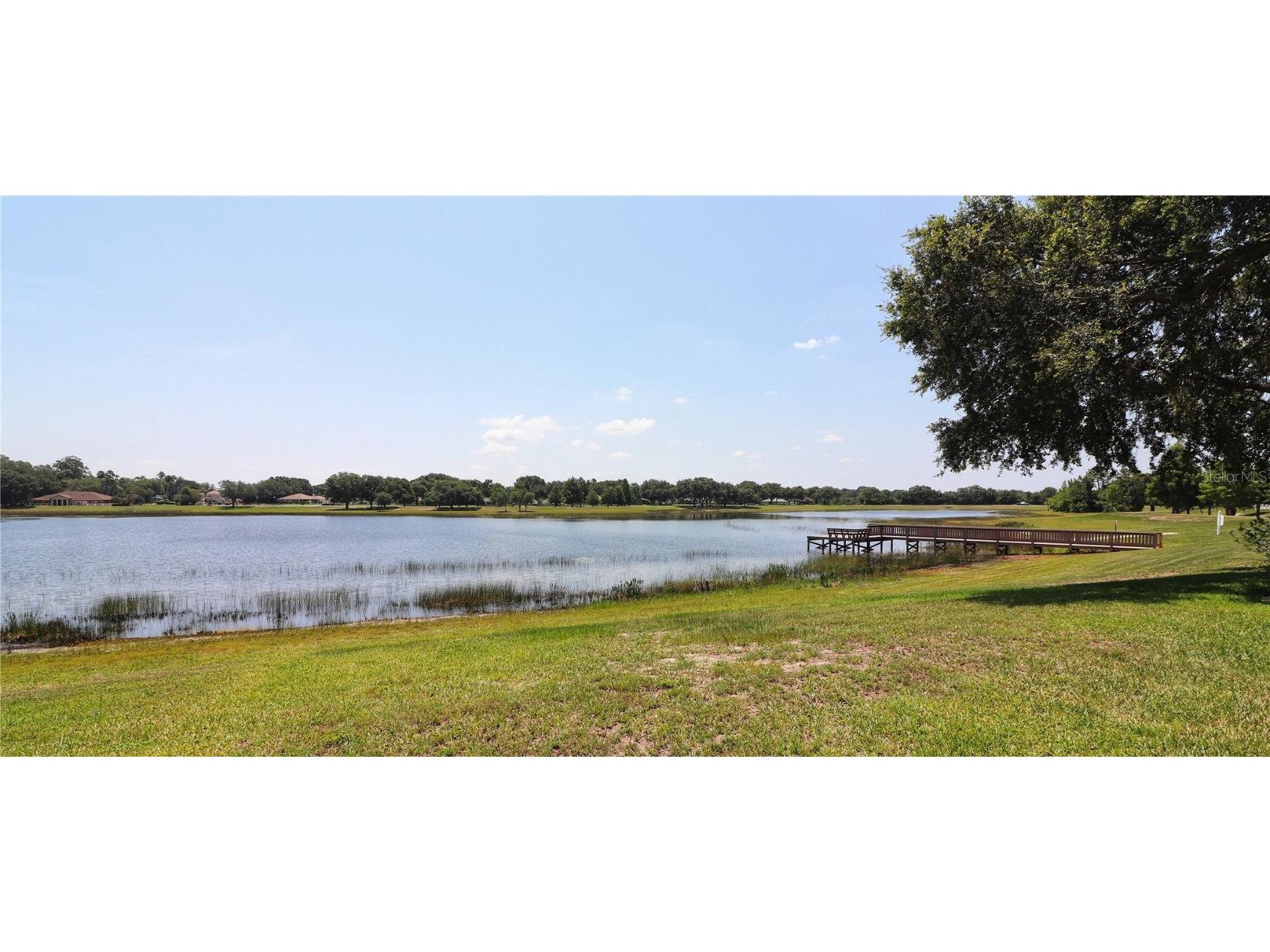 21716 King John Street Leesburg FL 34748 - ROYAL LAKE G5103394 image20