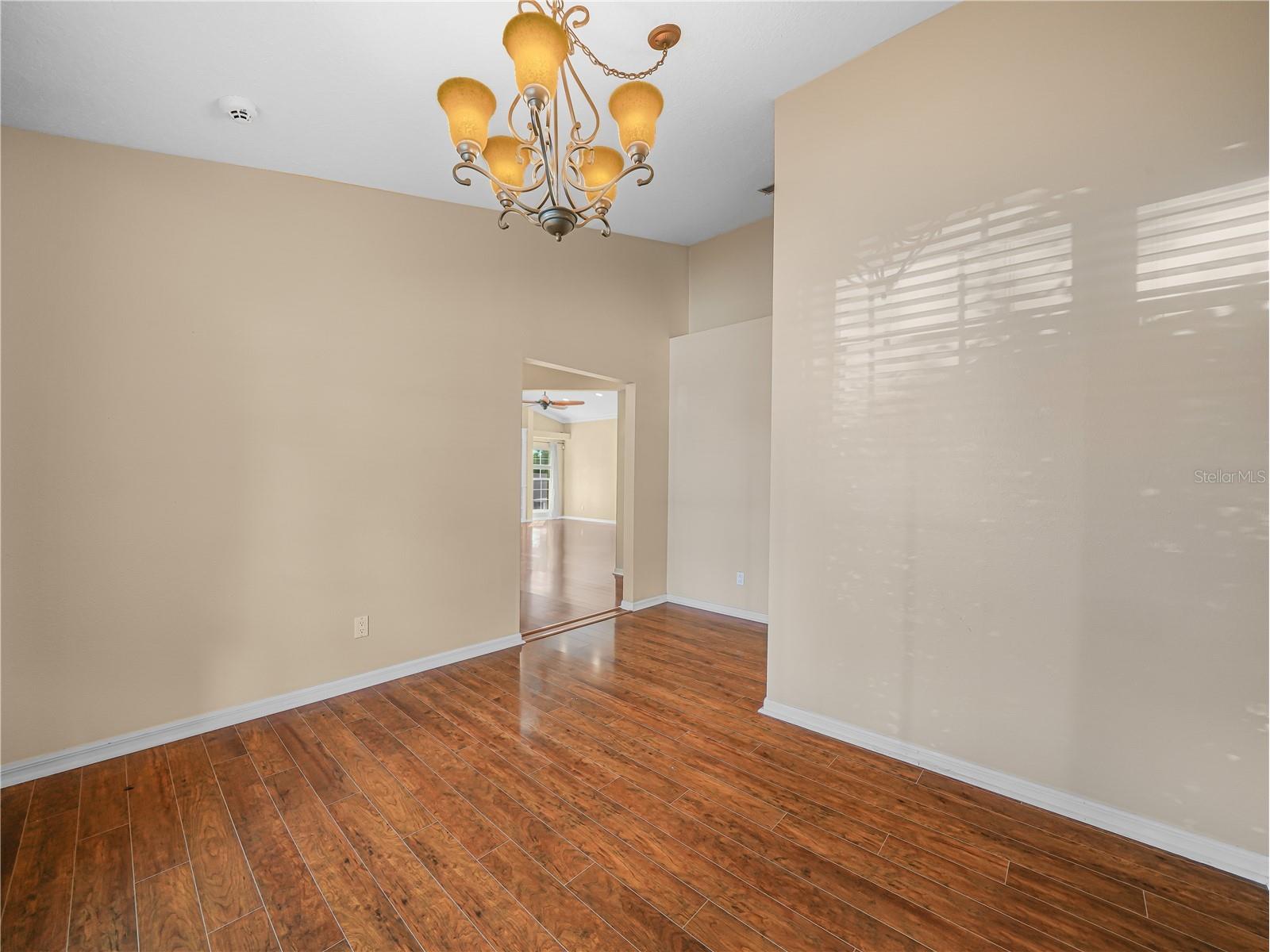 2172 Malachite Drive Lakeland FL 33810 L4956932 image4