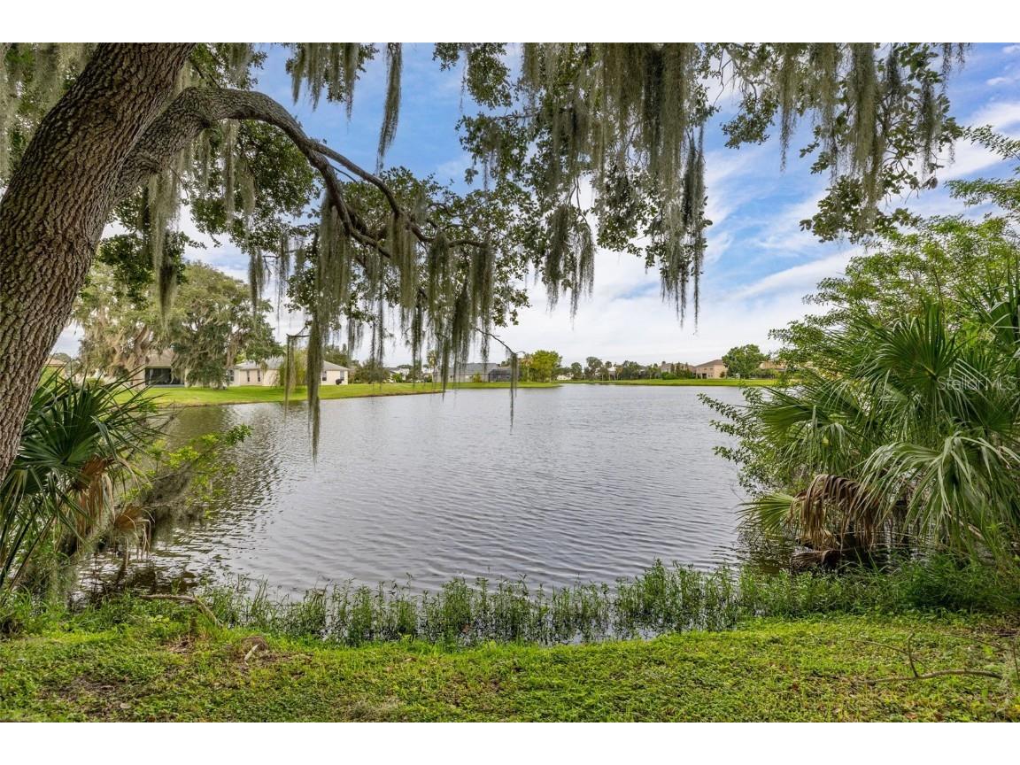 2172 The Oaks Boulevard Kissimmee FL 34746 S5134772 image47