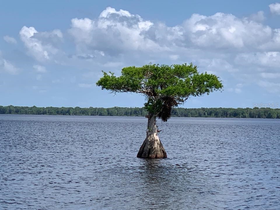 21722 73rd Lane Vero Beach FL 32966 - BLUE CYPRESS LAKE OK223227 image5