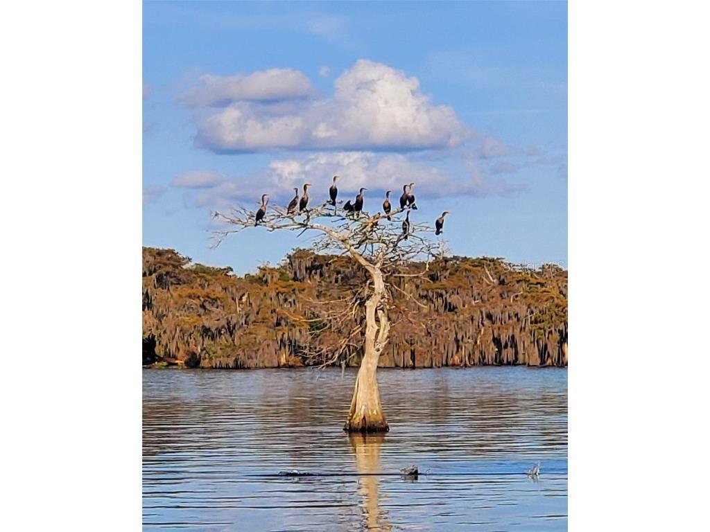 21722 73rd Lane Vero Beach FL 32966 - BLUE CYPRESS LAKE OK223227 image6