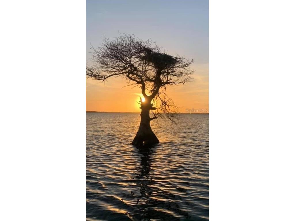 21722 73rd Lane Vero Beach FL 32966 - BLUE CYPRESS LAKE OK223227 image7