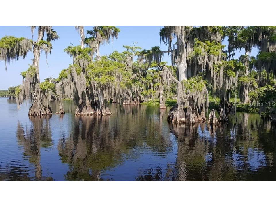 21722 73rd Lane Vero Beach FL 32966 - BLUE CYPRESS LAKE OK223227 image8