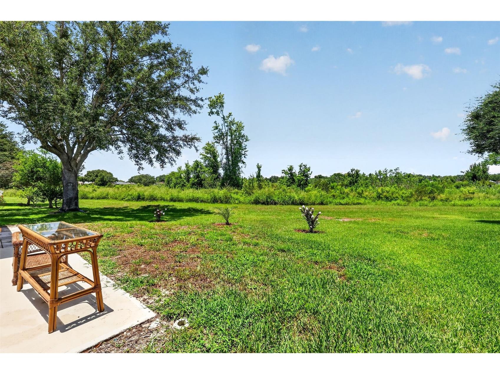 21725 King Richards Way Leesburg FL 34748 G5114177 image39