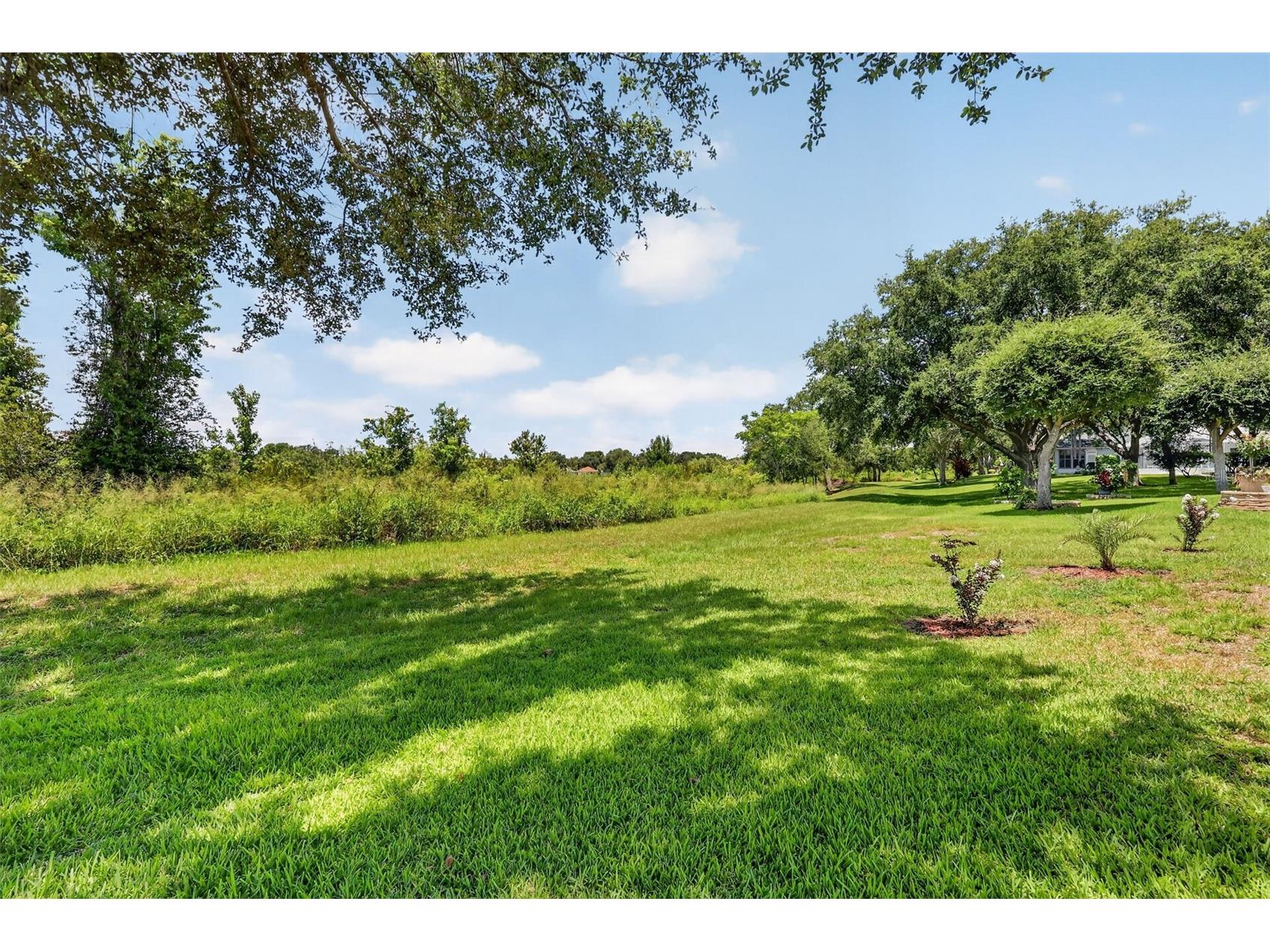 21725 King Richards Way Leesburg FL 34748 G5114177 image42