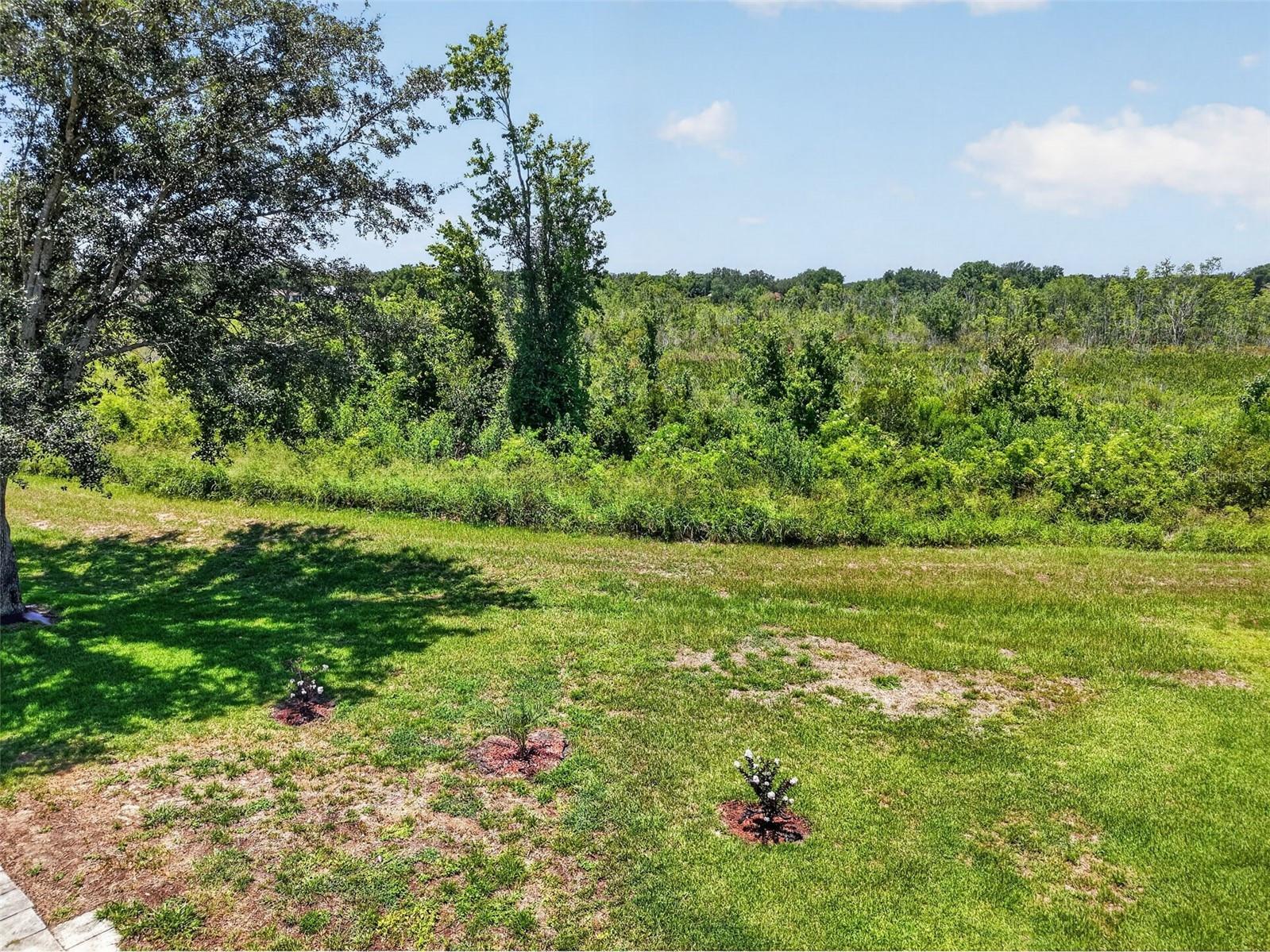21725 King Richards Way Leesburg FL 34748 G5114177 image43