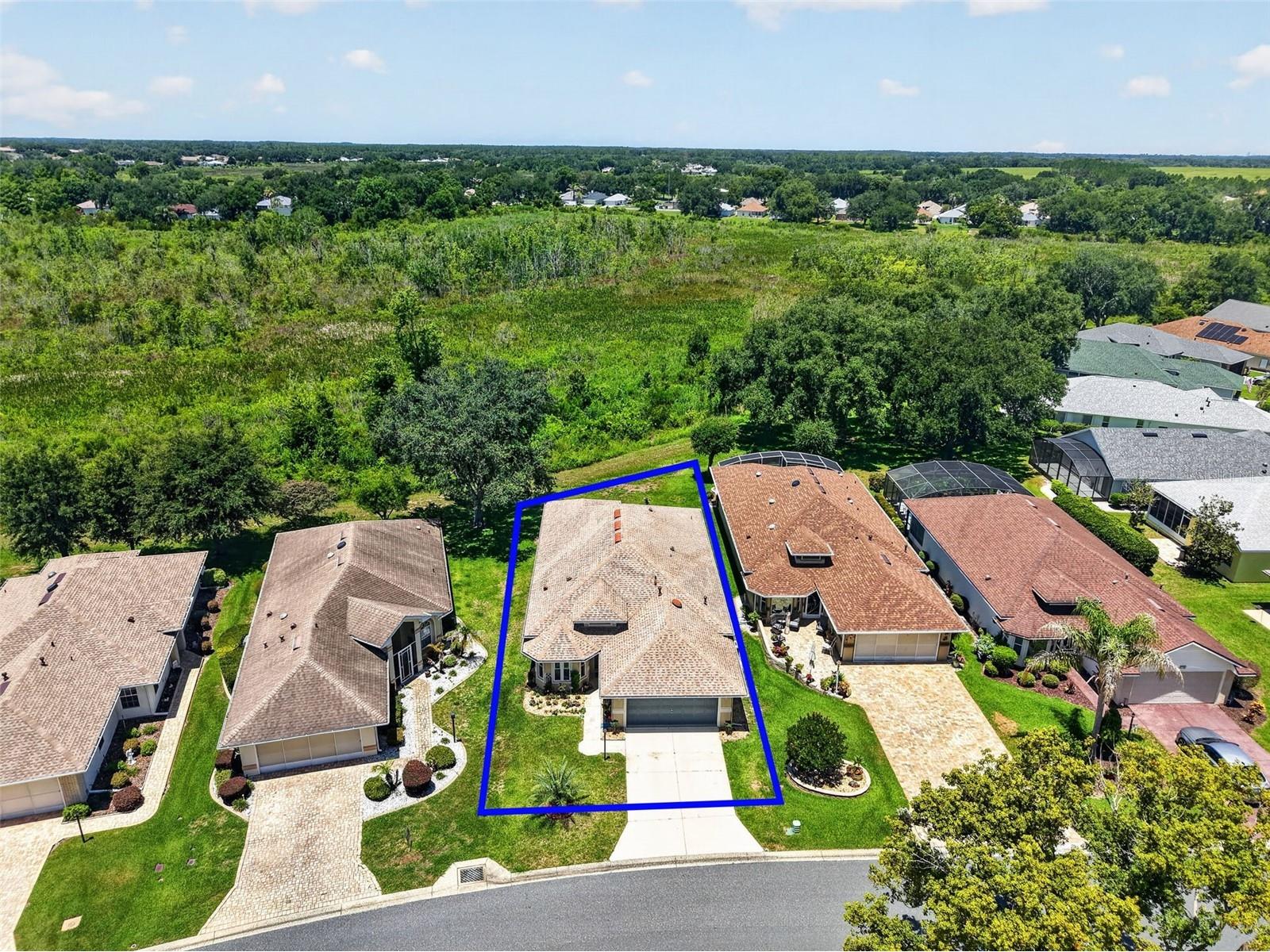 21725 King Richards Way Leesburg FL 34748 G5114177 image48