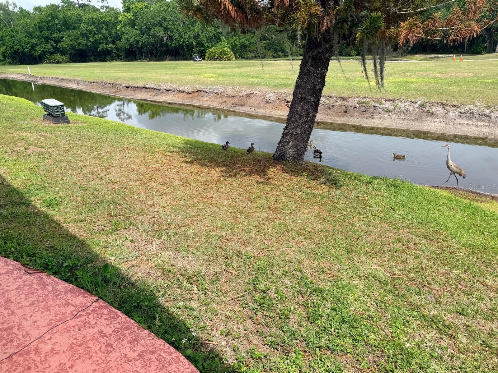 2173 Pebble Beach Boulevard Orlando FL 32826 O6396809 image9