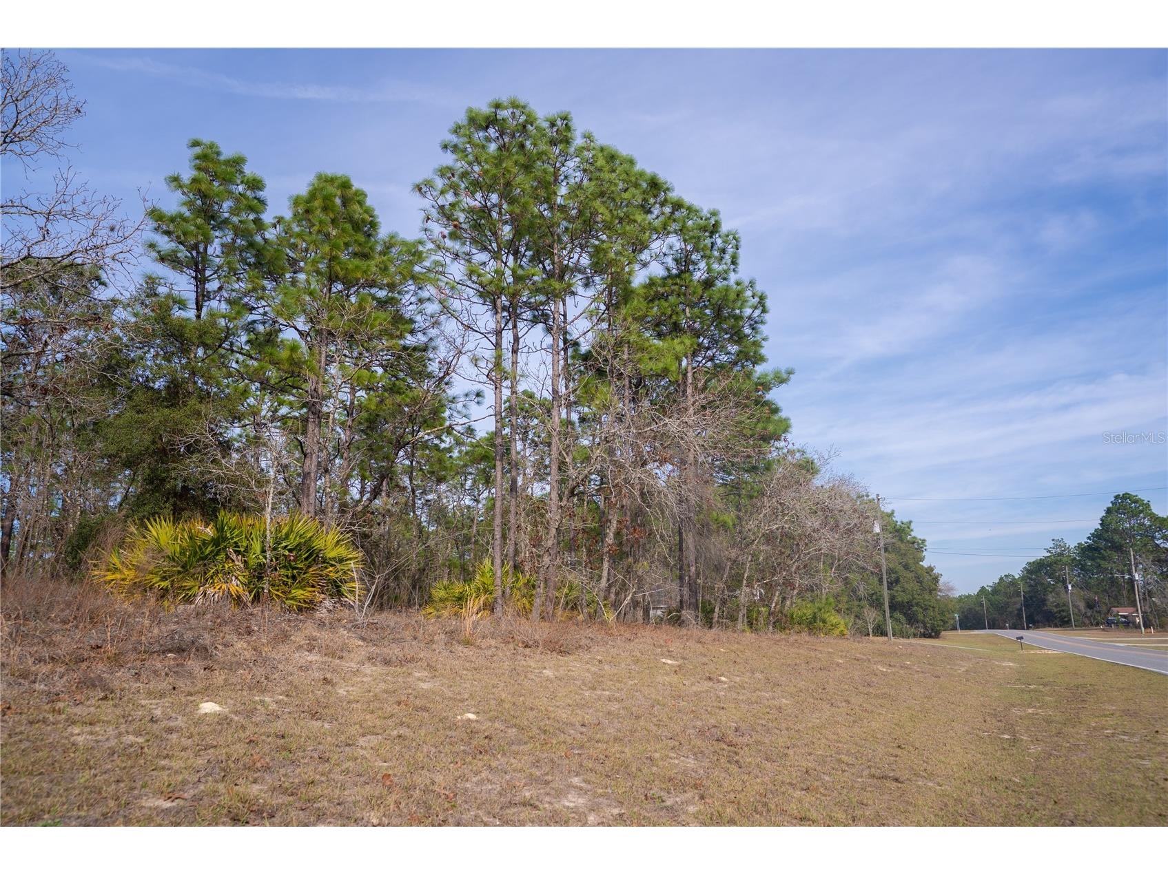 2173 W Citrus Springs Boulevard Citrus Springs FL 34434 OM719363 image2