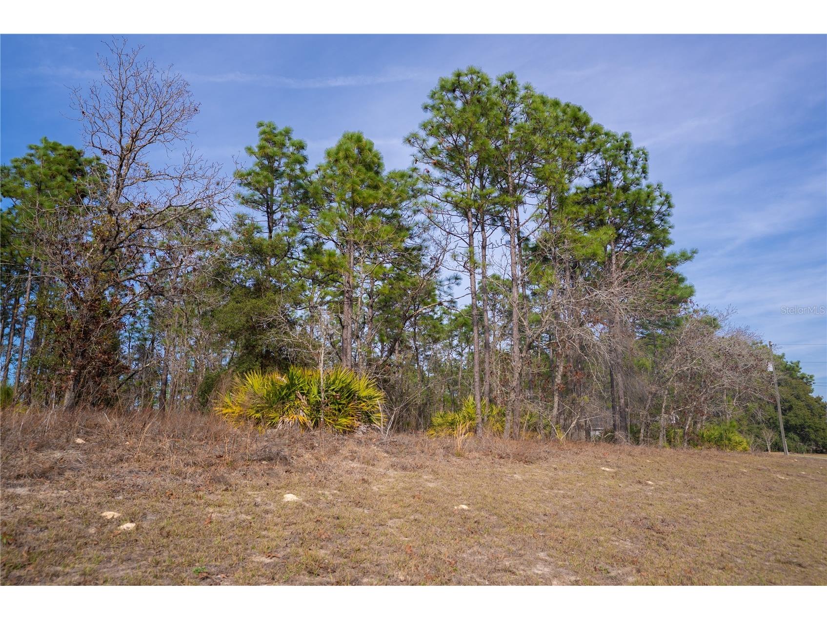 2173 W Citrus Springs Boulevard Citrus Springs FL 34434 OM719363 image3