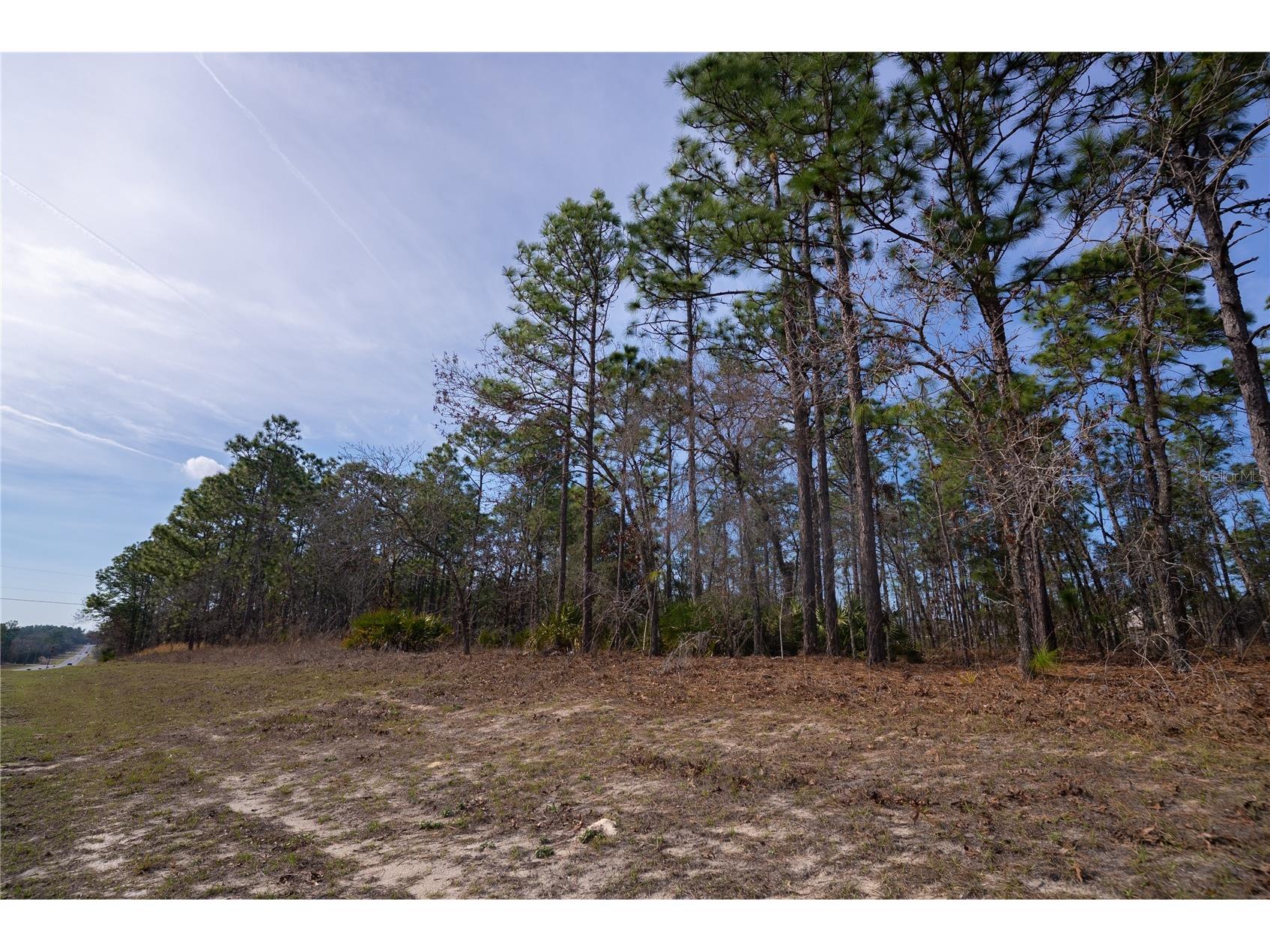 2173 W Citrus Springs Boulevard Citrus Springs FL 34434 OM719363 image4