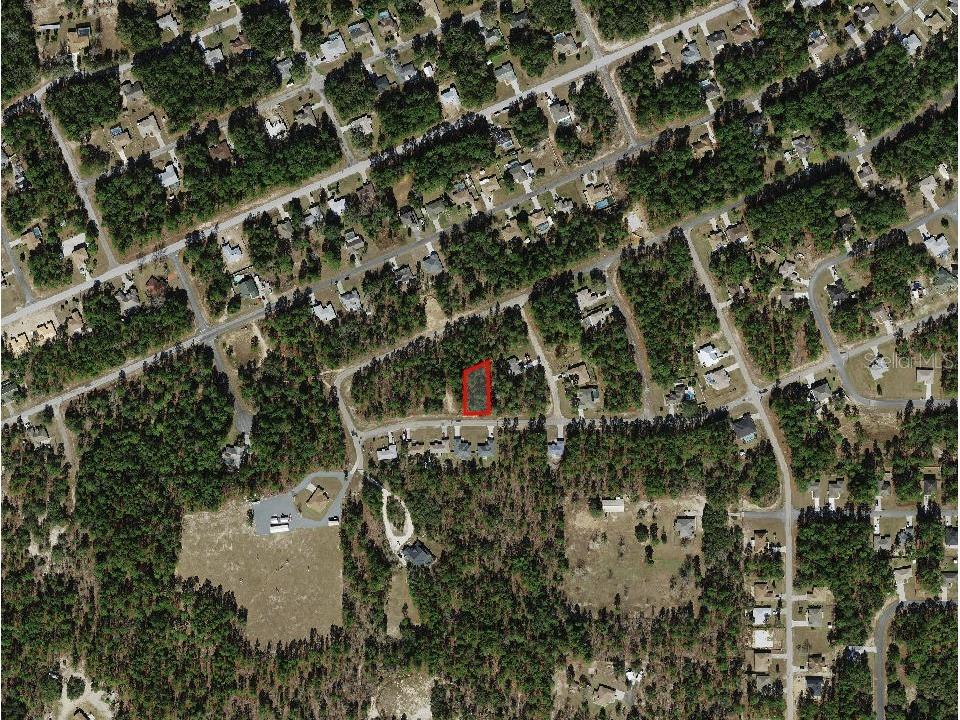 2173 W Kenmore Drive Citrus Springs FL 34434 A4672294 image3