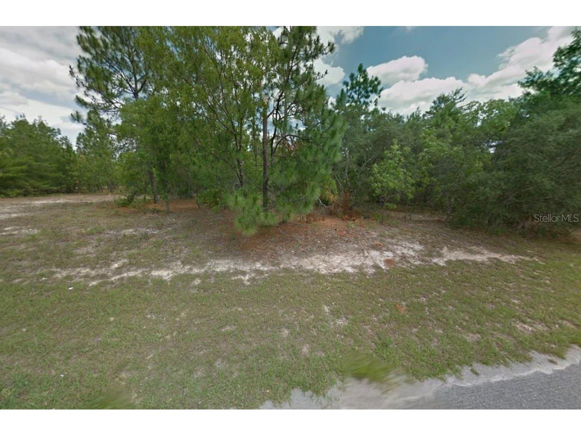 2173 W Kenmore Drive Citrus Springs FL 34434 A4672294 image4