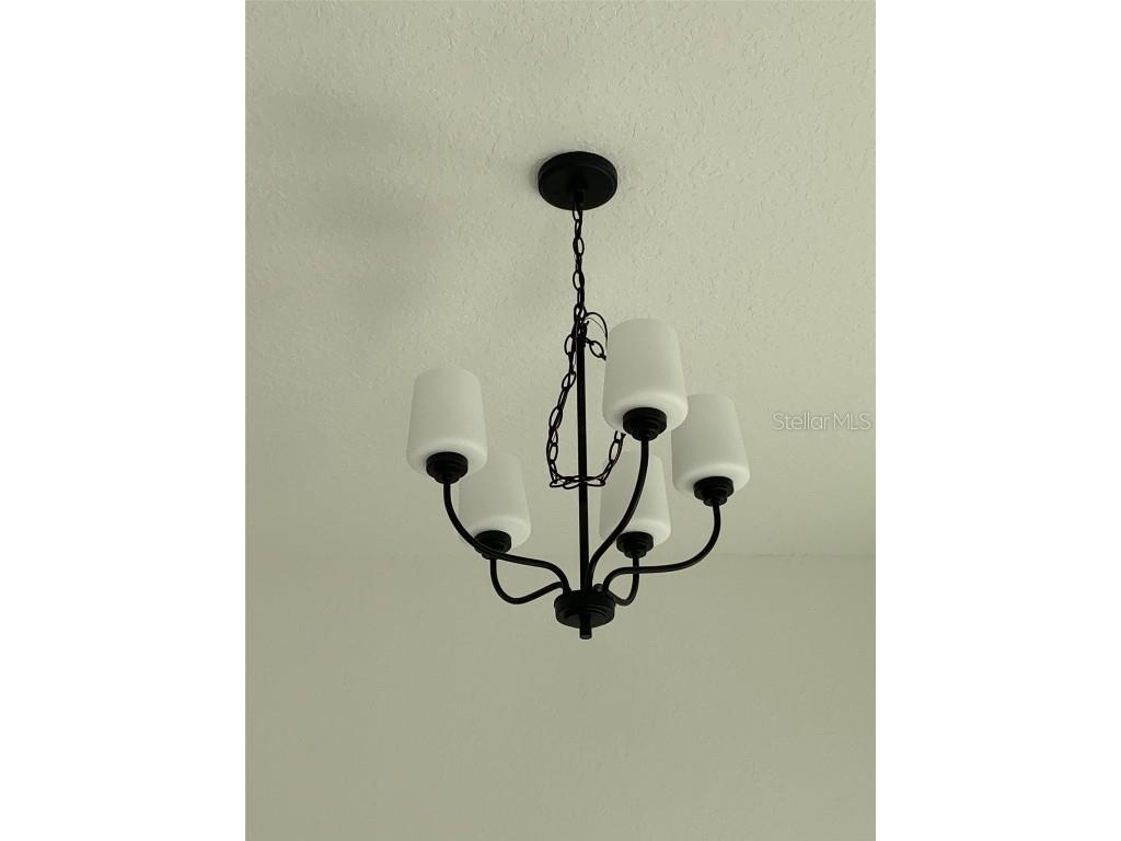 2173 W Say Drive Citrus Springs FL 34434 OM709088 image5