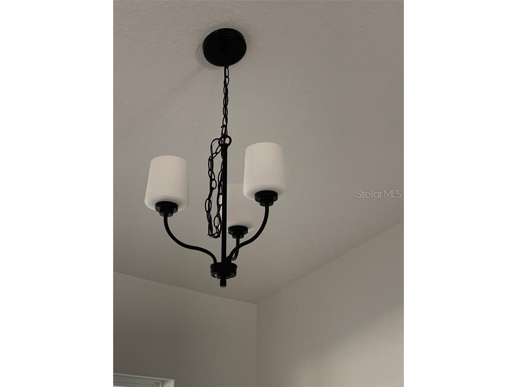 2173 W Say Drive Citrus Springs FL 34434 OM709088 image6