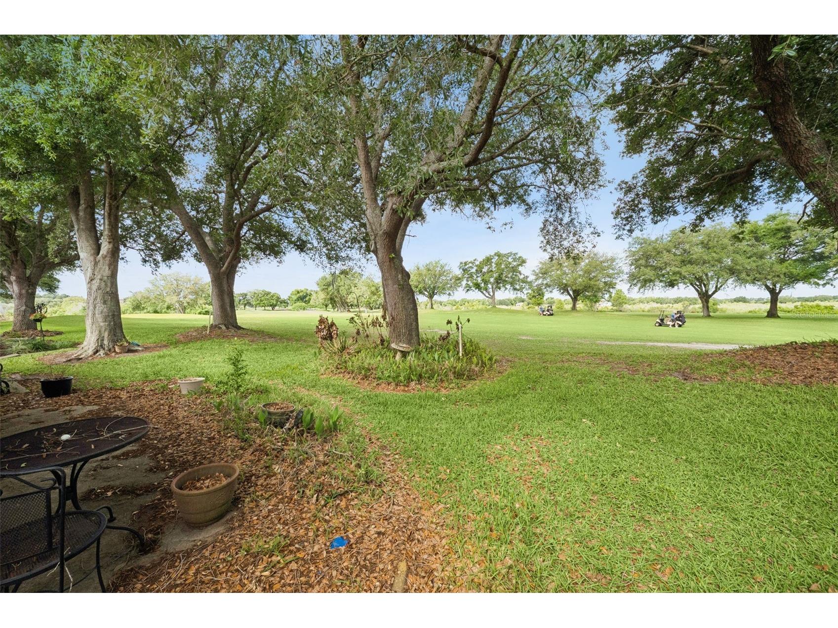 21733 Royal St Georges Lane Leesburg FL 34748 G5110713 image25