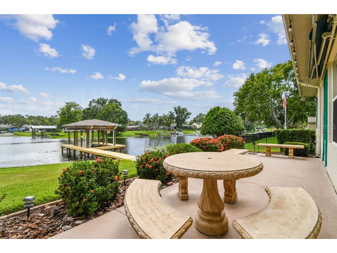 21738 Ocean Pines Drive Land O Lakes FL 34639 - LAKE SAXON TB8394490 image1