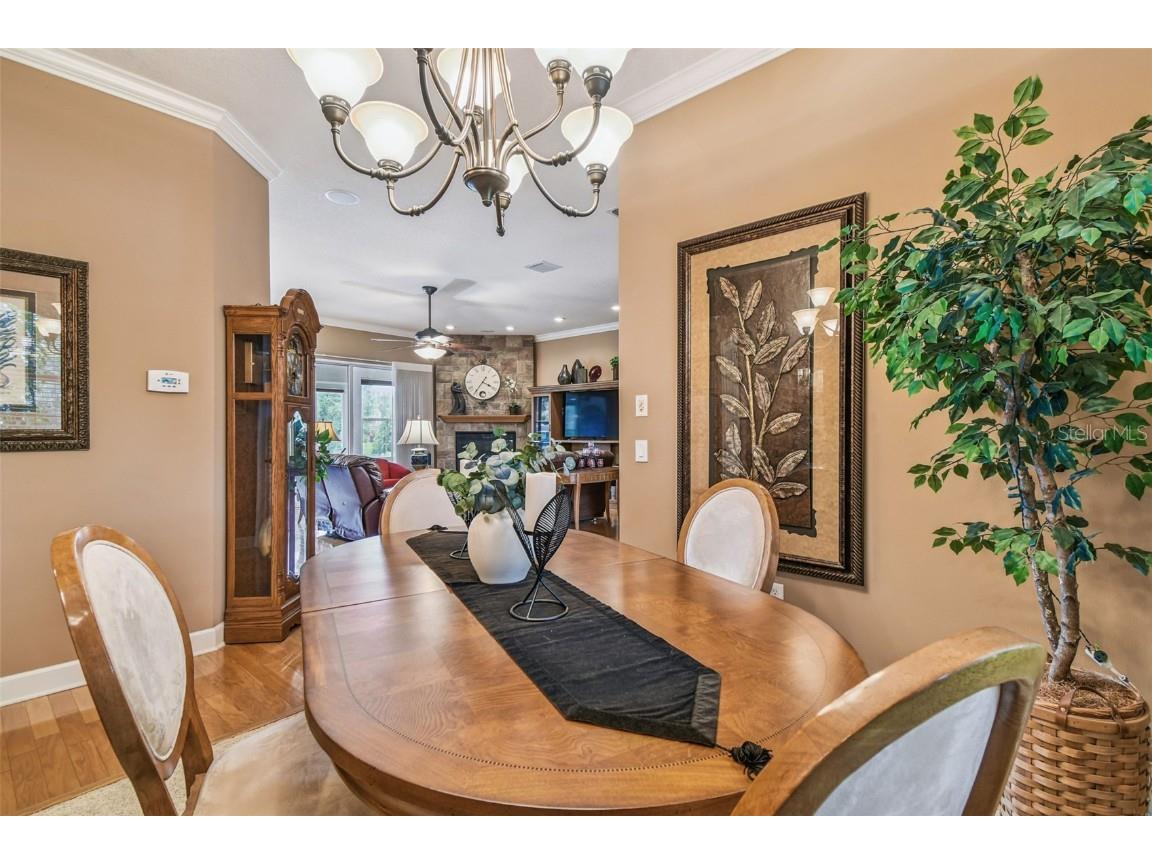 21738 Ocean Pines Drive Land O Lakes FL 34639 - LAKE SAXON TB8394490 image12