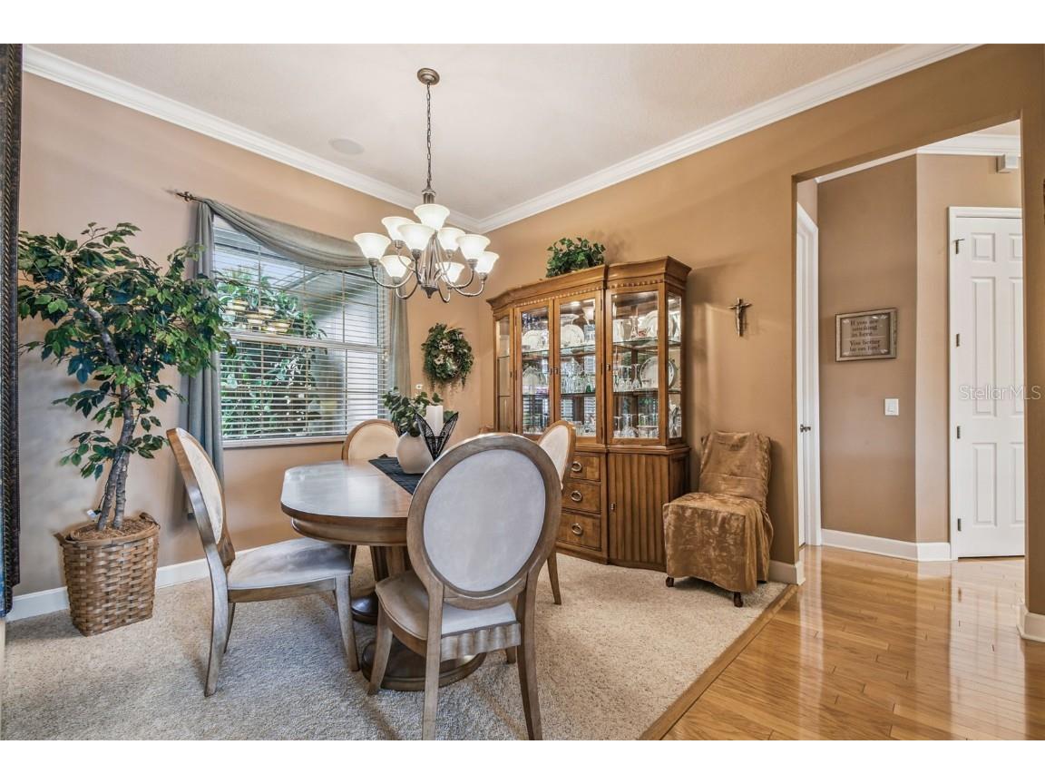 21738 Ocean Pines Drive Land O Lakes FL 34639 - LAKE SAXON TB8394490 image13