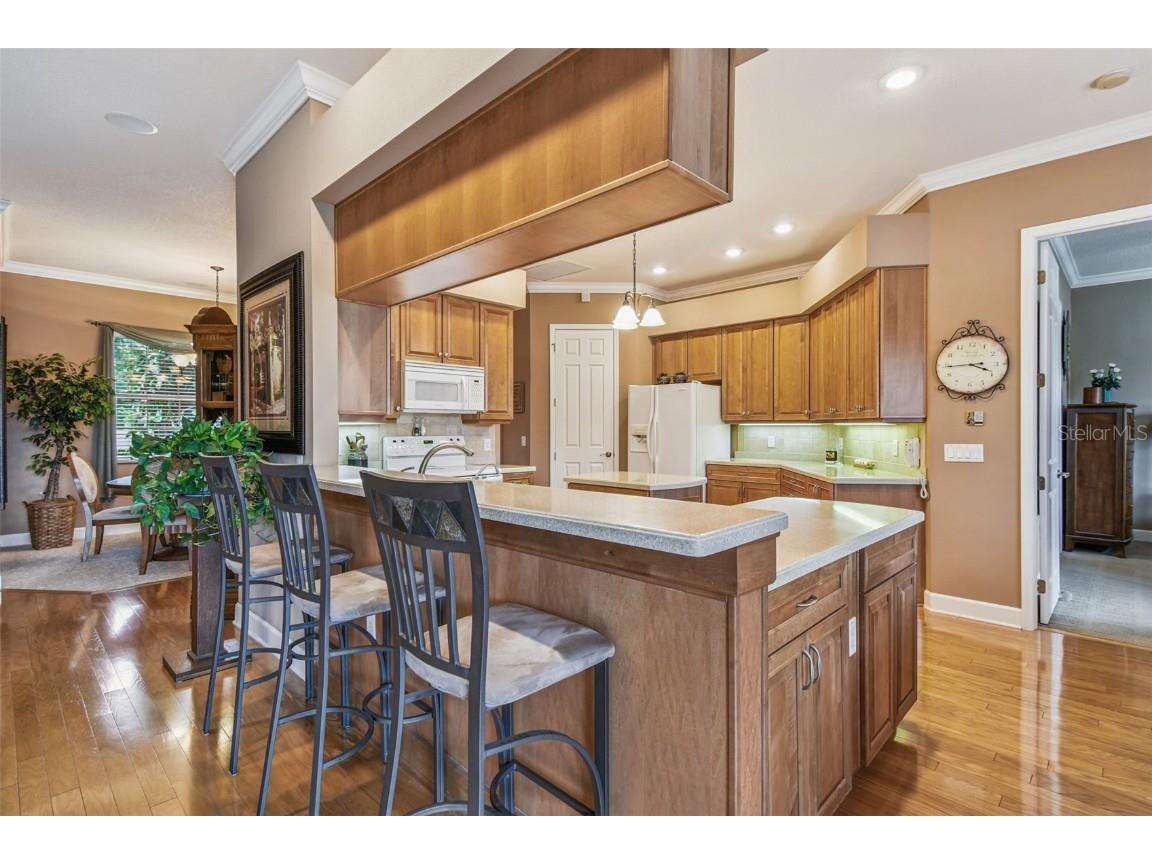 21738 Ocean Pines Drive Land O Lakes FL 34639 - LAKE SAXON TB8394490 image19