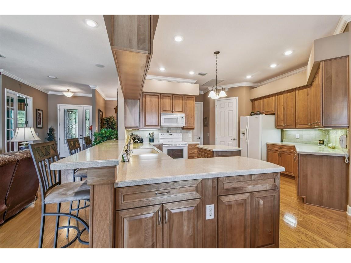 21738 Ocean Pines Drive Land O Lakes FL 34639 - LAKE SAXON TB8394490 image20