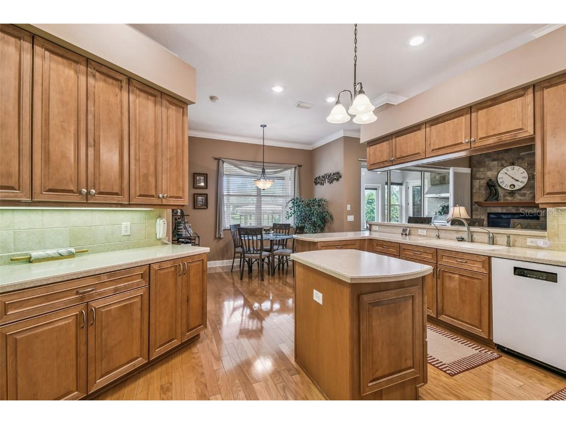 21738 Ocean Pines Drive Land O Lakes FL 34639 - LAKE SAXON TB8394490 image22