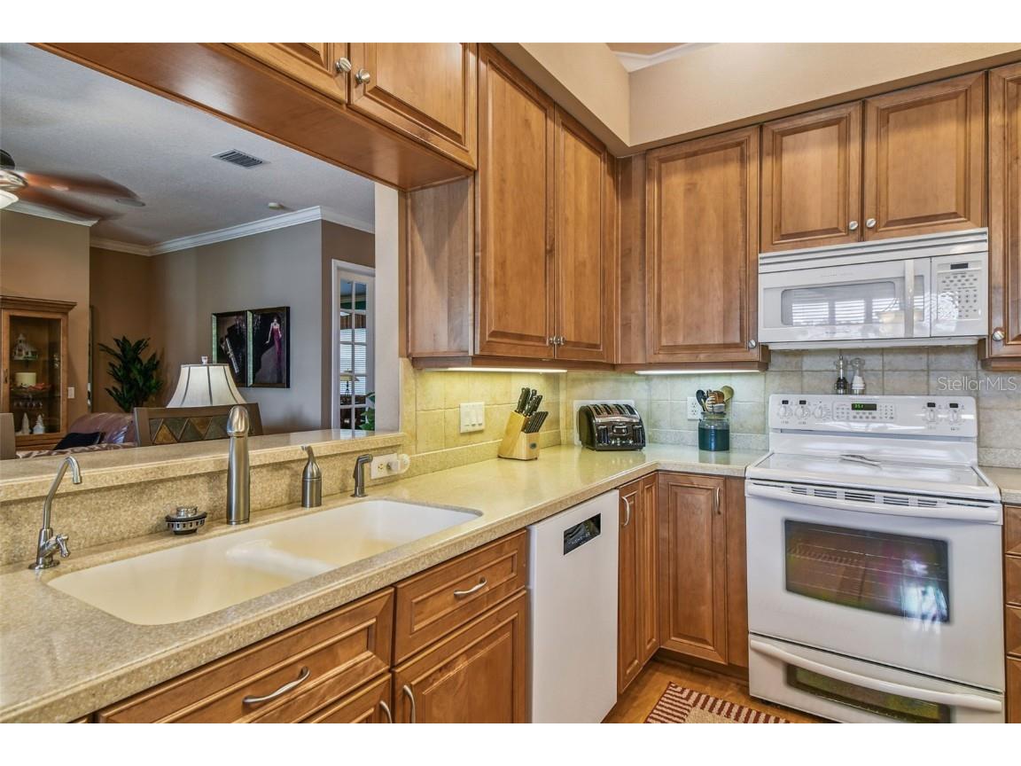 21738 Ocean Pines Drive Land O Lakes FL 34639 - LAKE SAXON TB8394490 image23