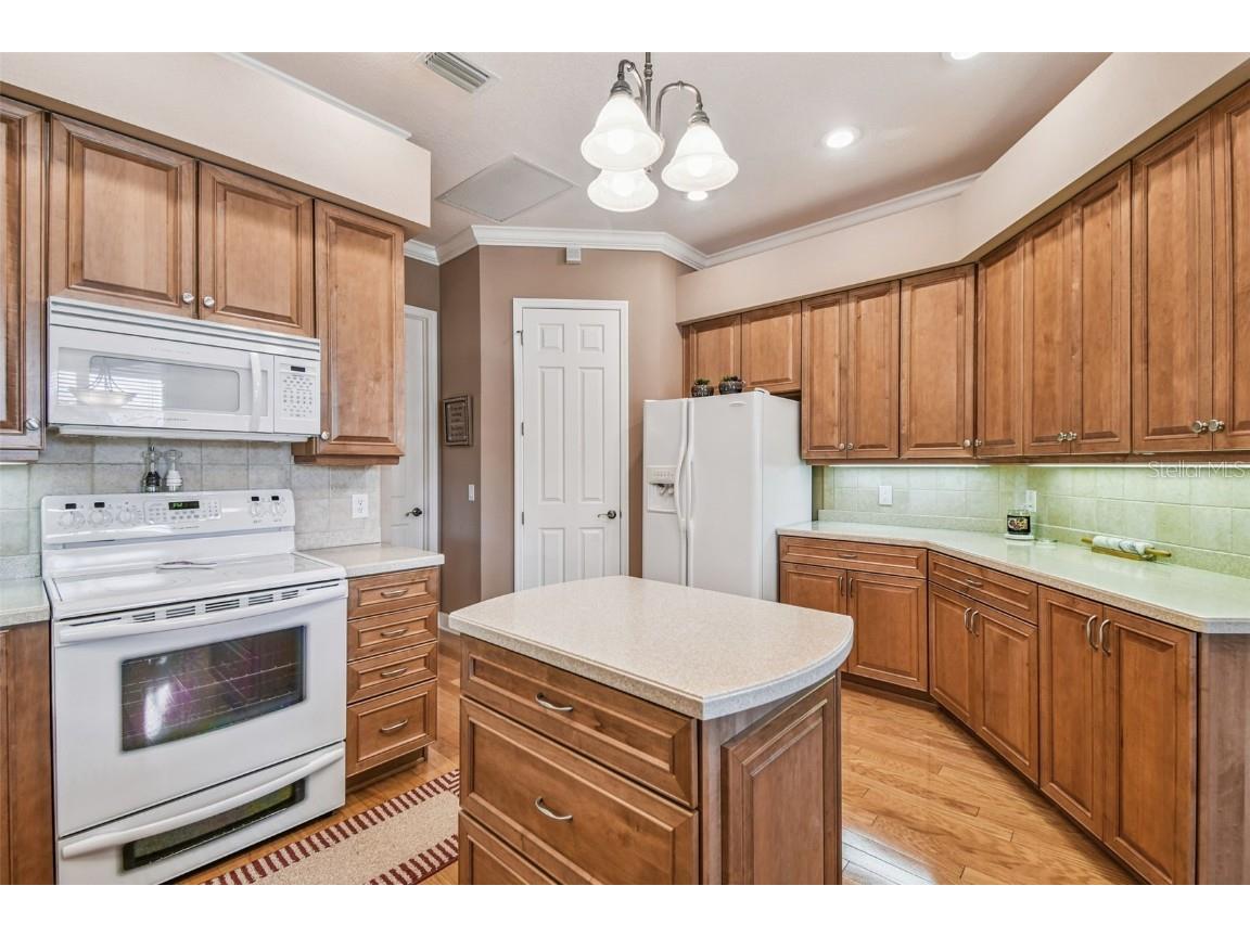 21738 Ocean Pines Drive Land O Lakes FL 34639 - LAKE SAXON TB8394490 image24