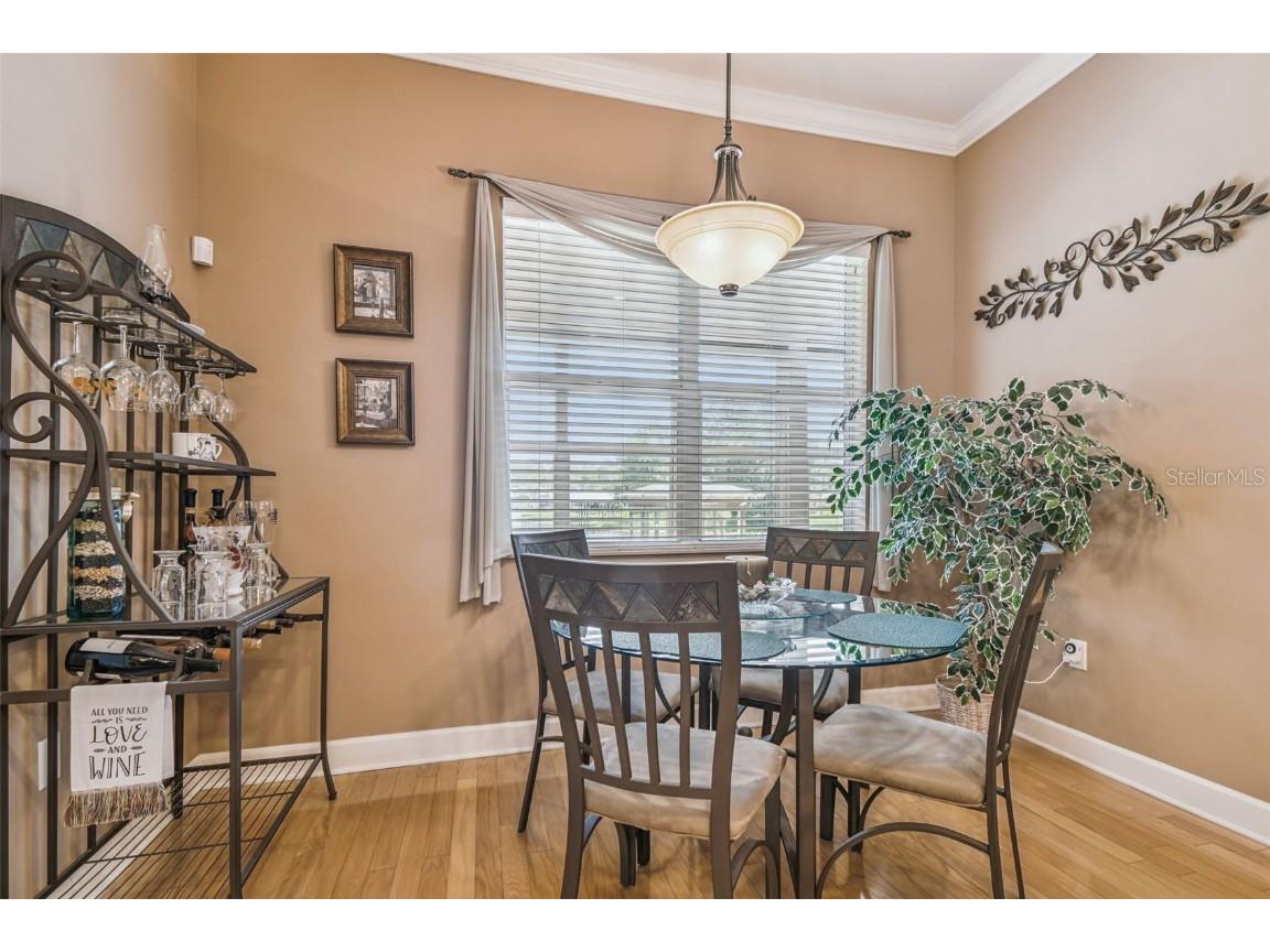 21738 Ocean Pines Drive Land O Lakes FL 34639 - LAKE SAXON TB8394490 image25