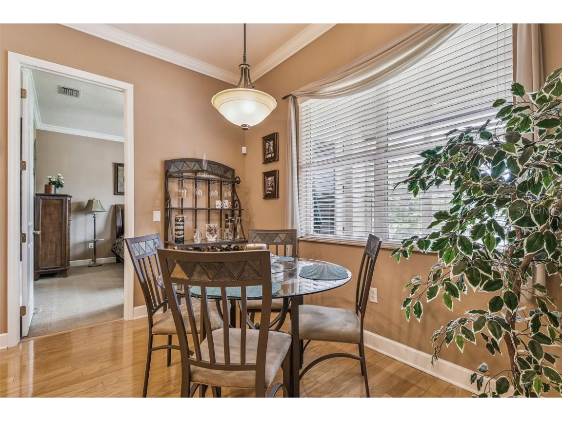 21738 Ocean Pines Drive Land O Lakes FL 34639 - LAKE SAXON TB8394490 image26