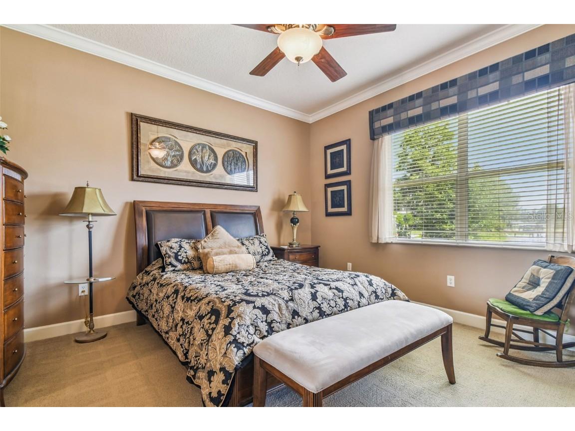 21738 Ocean Pines Drive Land O Lakes FL 34639 - LAKE SAXON TB8394490 image27