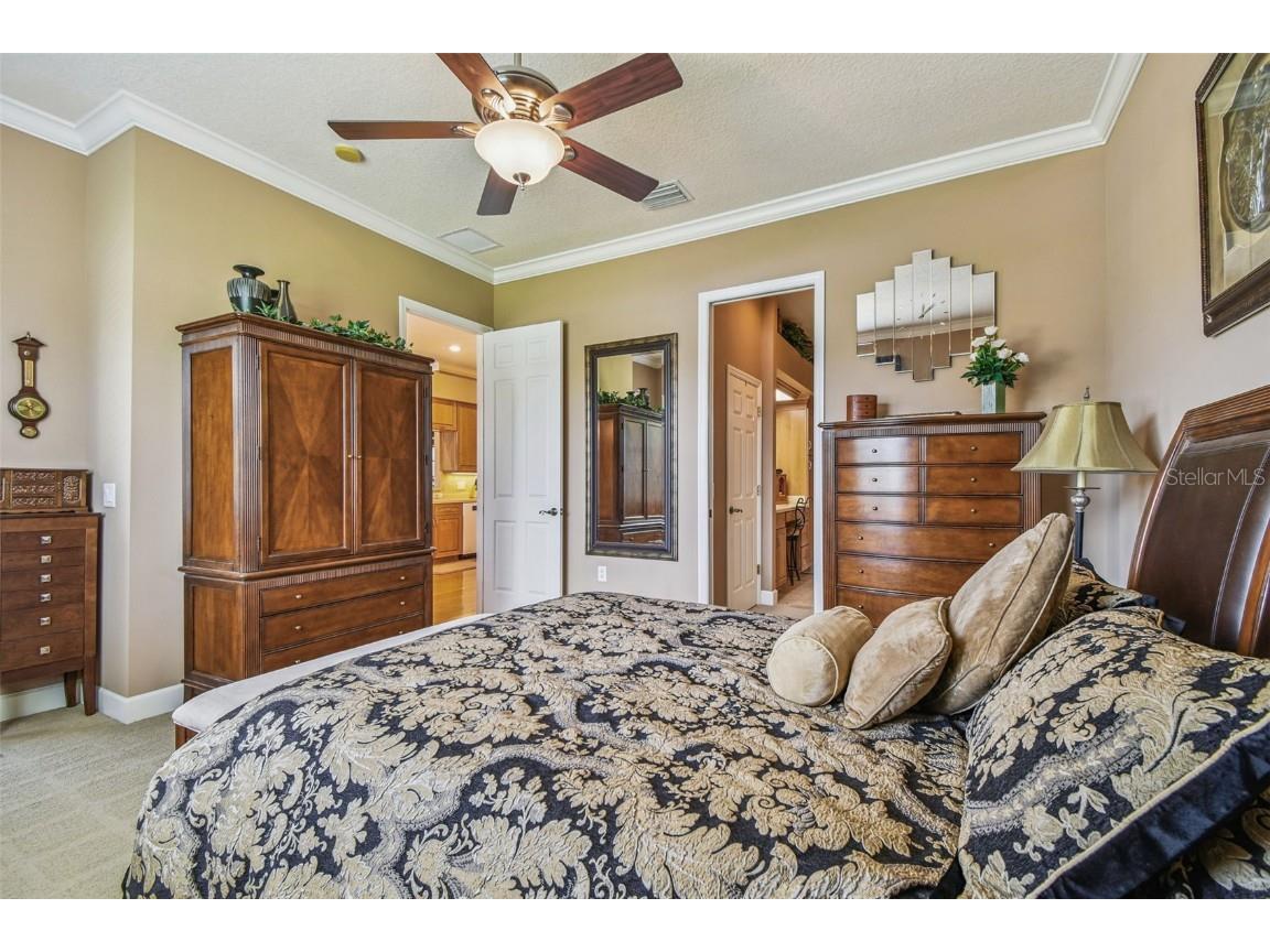 21738 Ocean Pines Drive Land O Lakes FL 34639 - LAKE SAXON TB8394490 image28