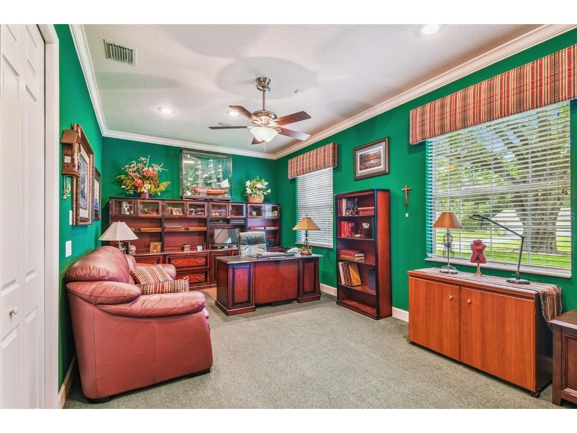 21738 Ocean Pines Drive Land O Lakes FL 34639 - LAKE SAXON TB8394490 image33