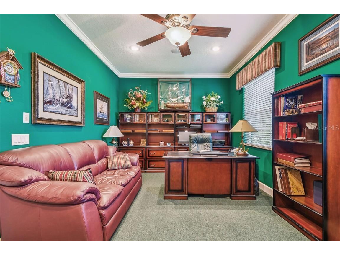 21738 Ocean Pines Drive Land O Lakes FL 34639 - LAKE SAXON TB8394490 image34